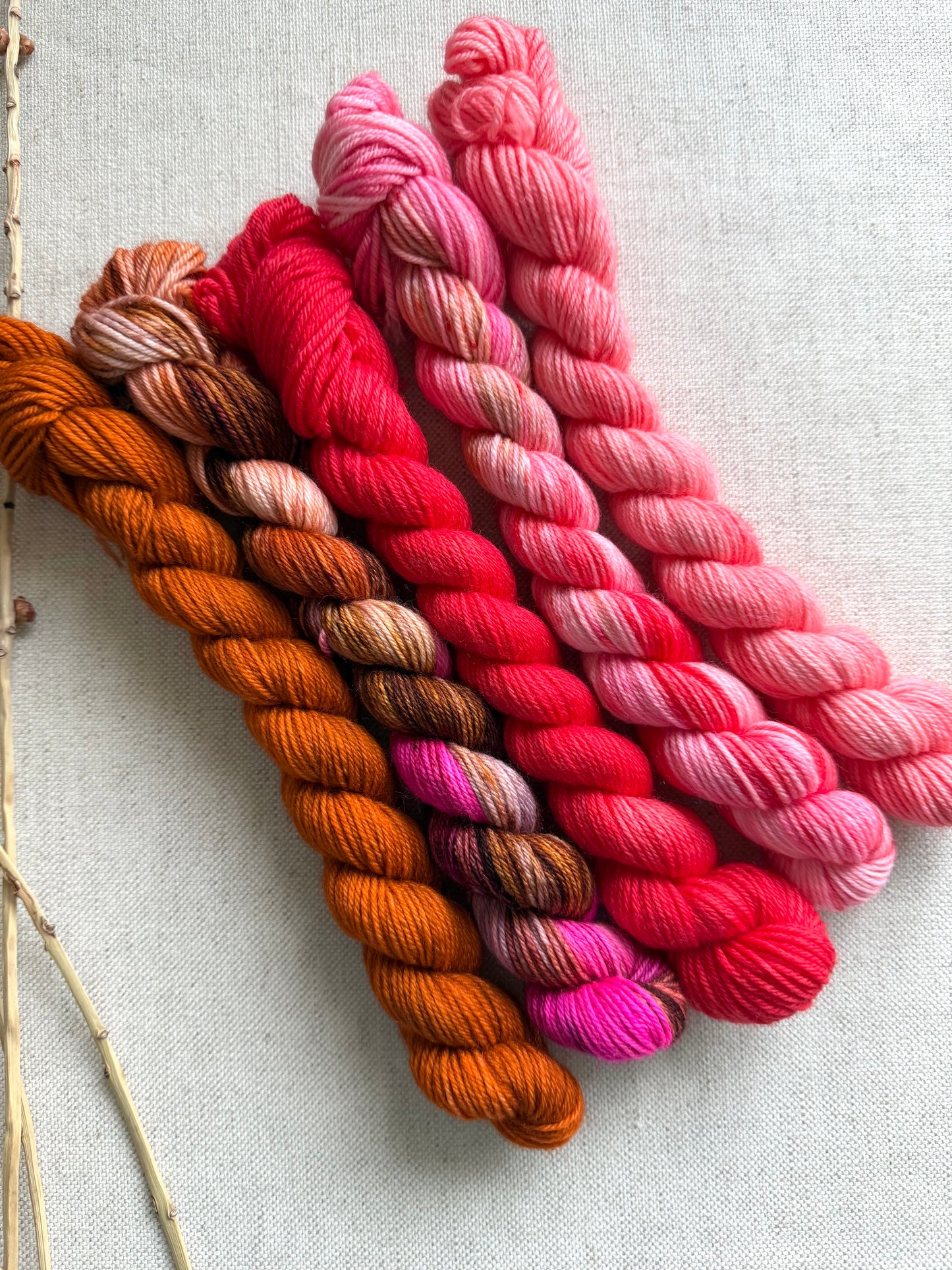 Strawberry Cheesecake - SW Merino Nylon Mini Skein Set