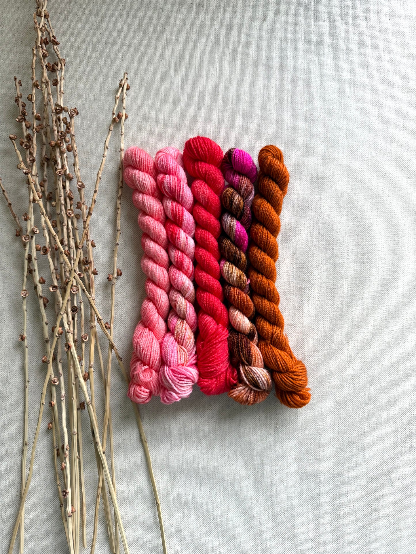 Strawberry Cheesecake - SW Merino Nylon Mini Skein Set