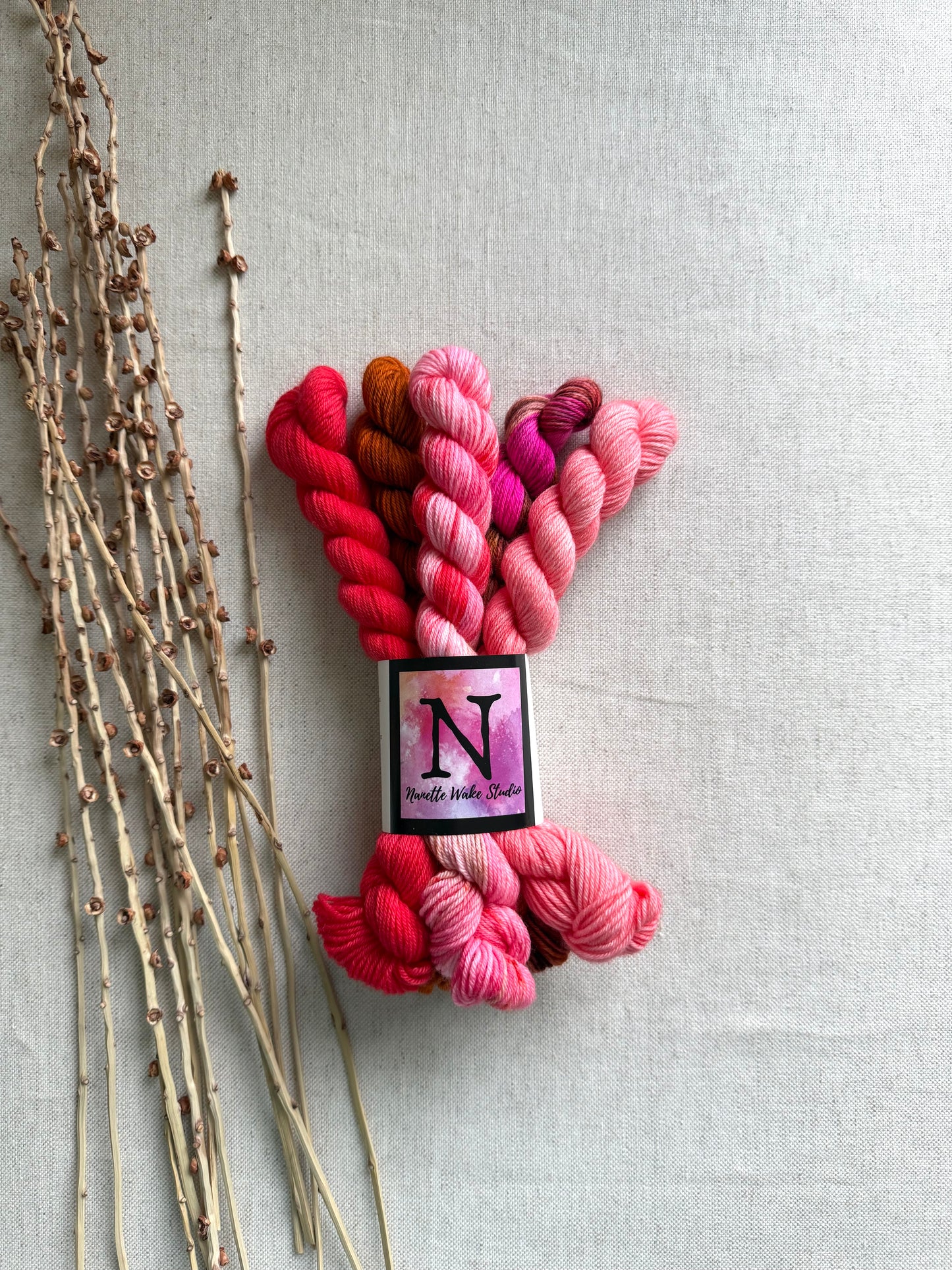 Strawberry Cheesecake - SW Merino Nylon Mini Skein Set