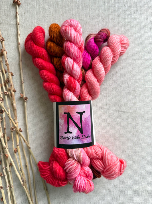 Strawberry Cheesecake - SW Merino Nylon Mini Skein Set