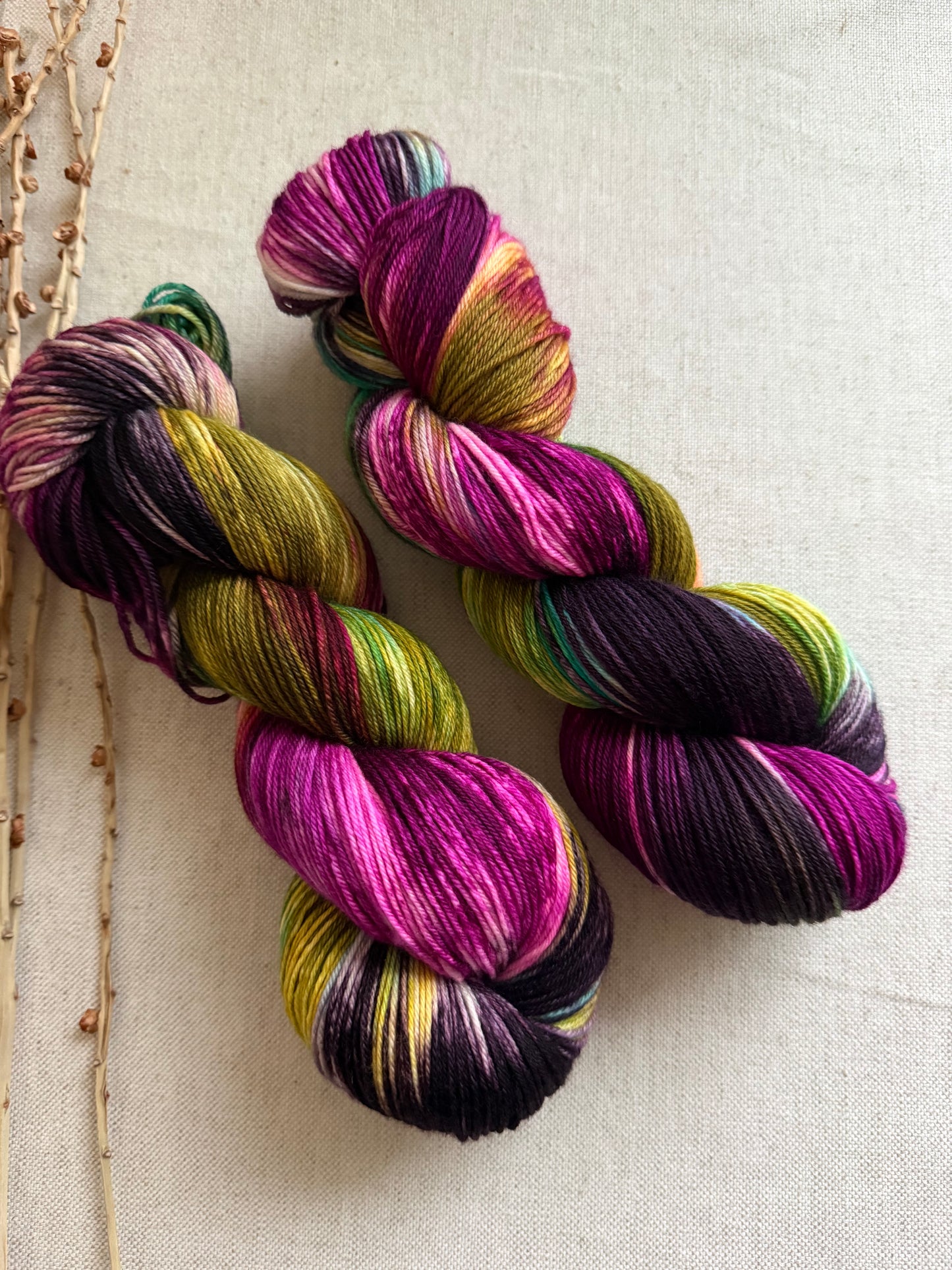 Euphoria SW Merino Nylon Yarn