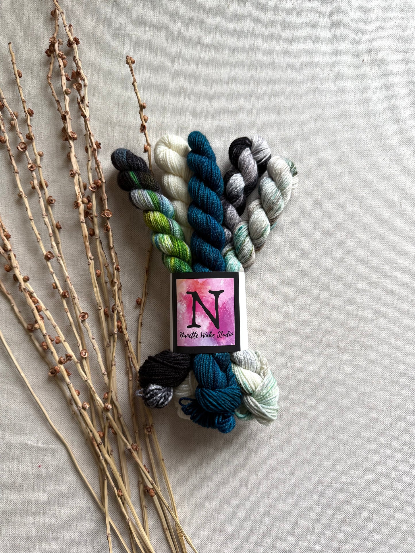 Cloud Burst - SW Merino Nylon Mini Skein Set