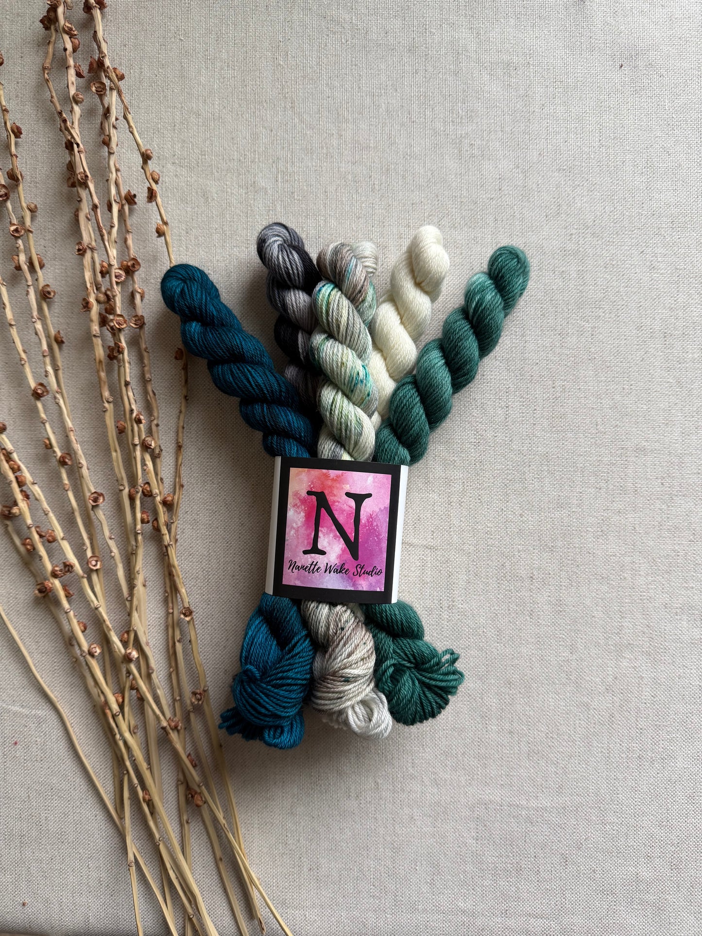 Cloud Burst - SW Merino Nylon Mini Skein Set