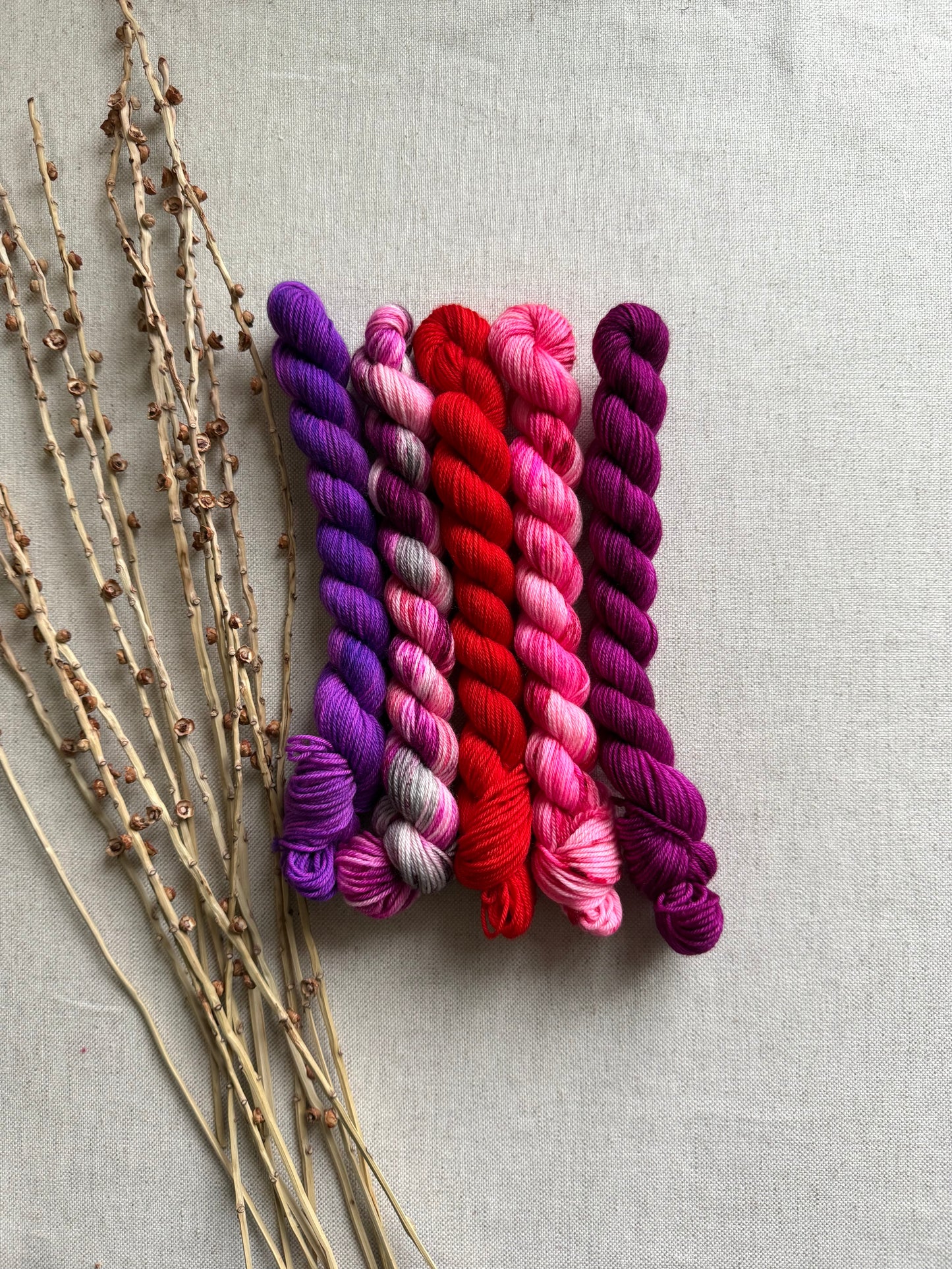 Sweet Child Of Mine - SW Merino Nylon Mini Skein Set