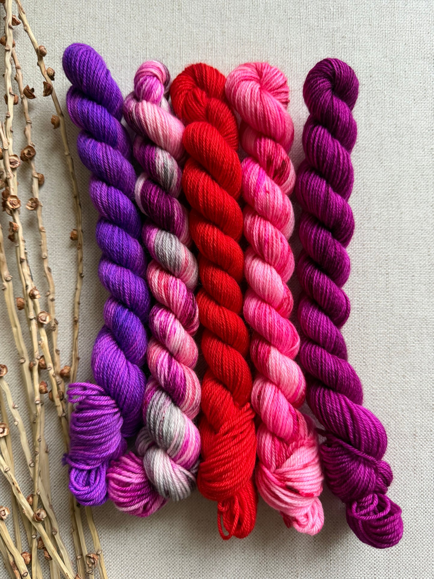 Sweet Child Of Mine - SW Merino Nylon Mini Skein Set