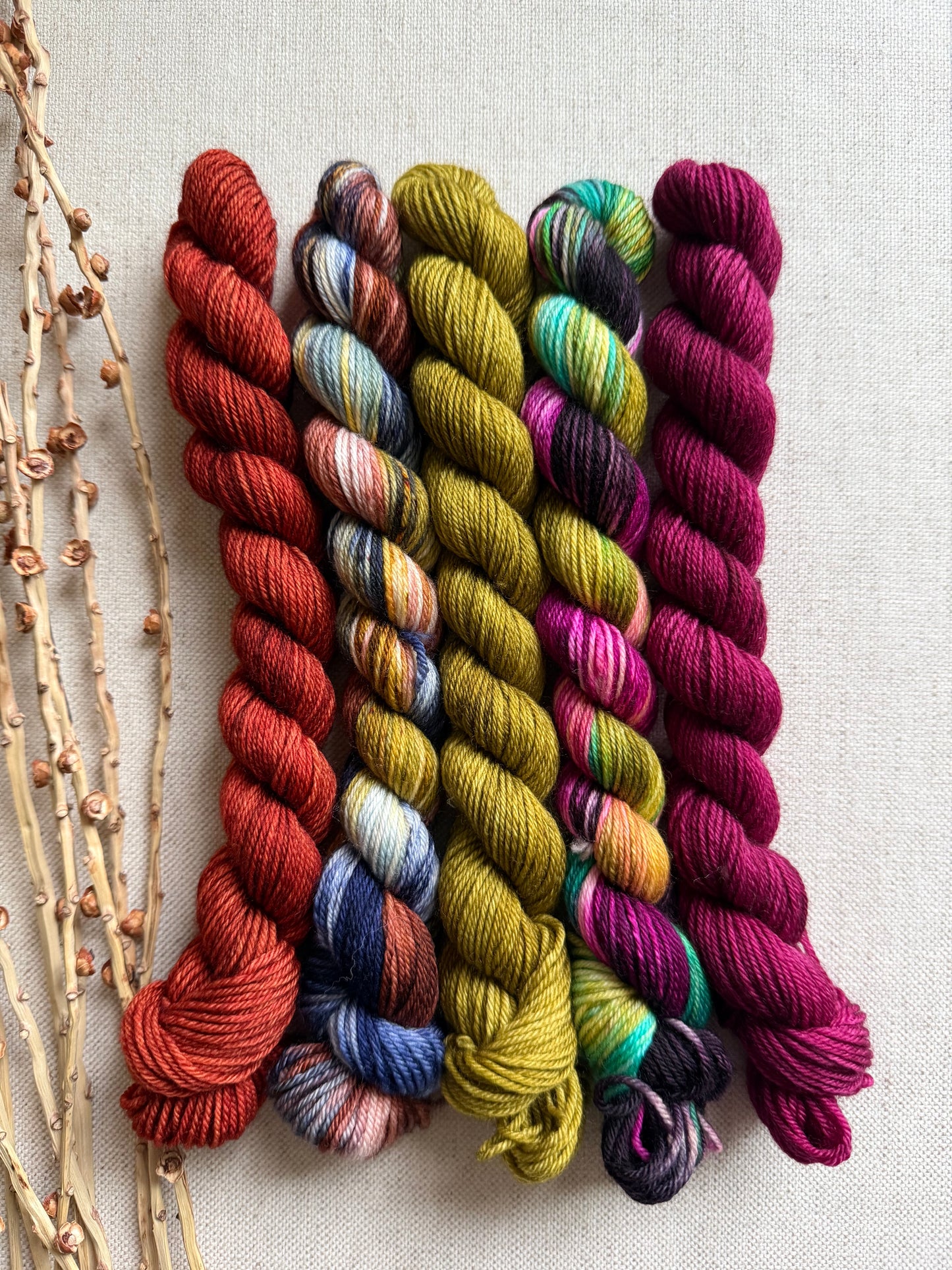 Euphoria - SW Merino Nylon Mini Skein Set