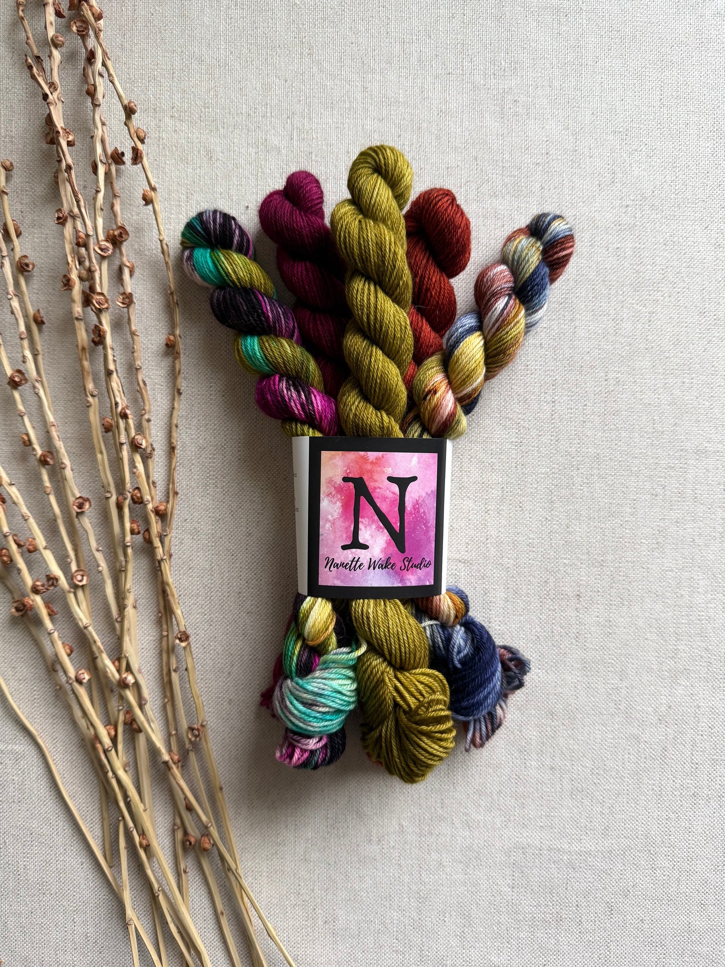 Euphoria - SW Merino Nylon Mini Skein Set