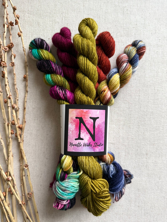 Euphoria - SW Merino Nylon Mini Skein Set