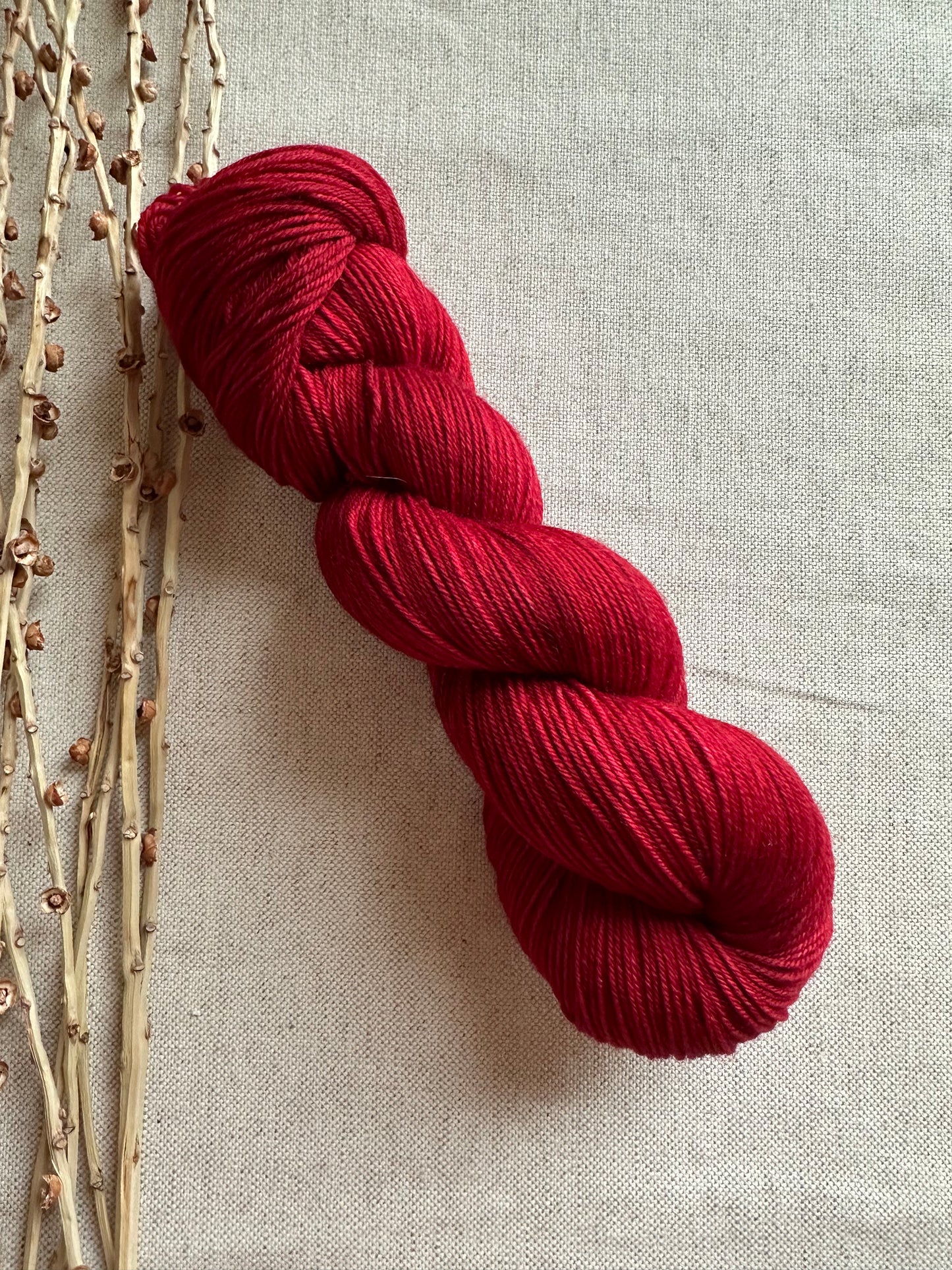 Poinsettia 100g SW Merino Nylon Yarn