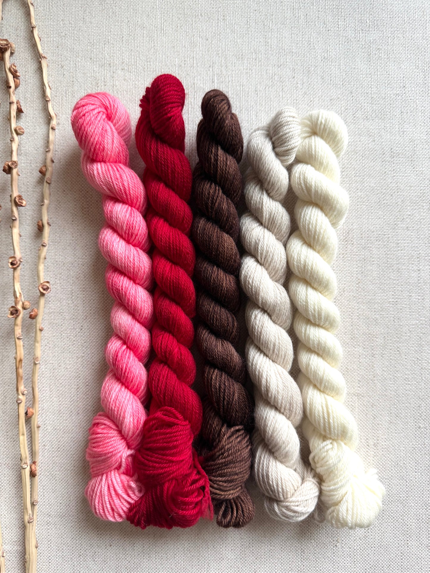 Sweets For My Sweet- SW Merino Nylon Mini Skein Set