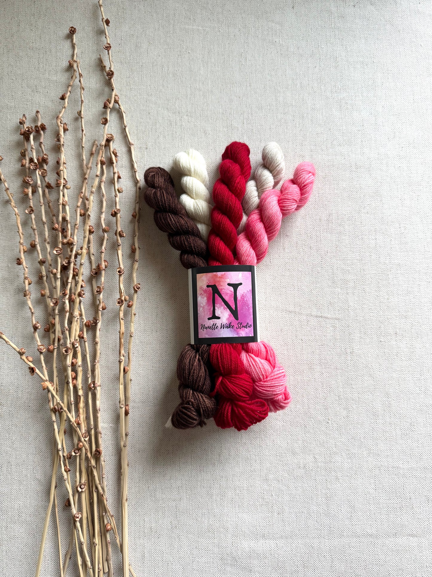 Sweets For My Sweet- SW Merino Nylon Mini Skein Set