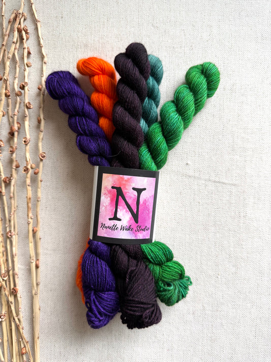 Mixed Mash - SW Merino Nylon Mini Skein Set