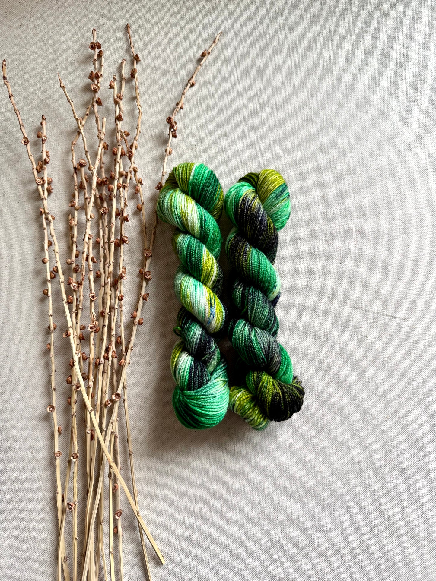 Capital Lake - A Washington State Colorway SW Merino Nylon 50g Skein