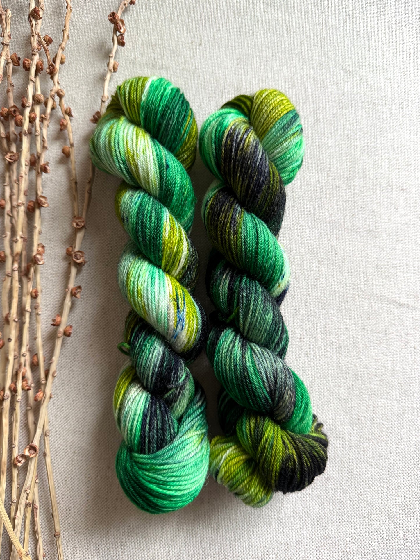 Capital Lake - A Washington State Colorway SW Merino Nylon 50g Skein