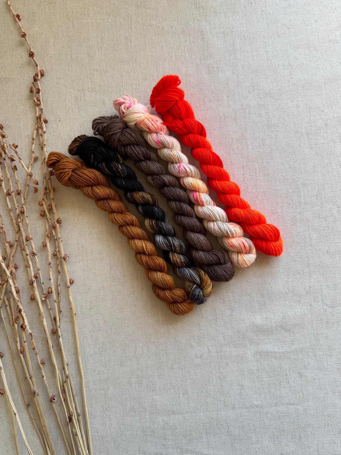 Eliot's Yota - SW Merino Nylon Mini Skein Set