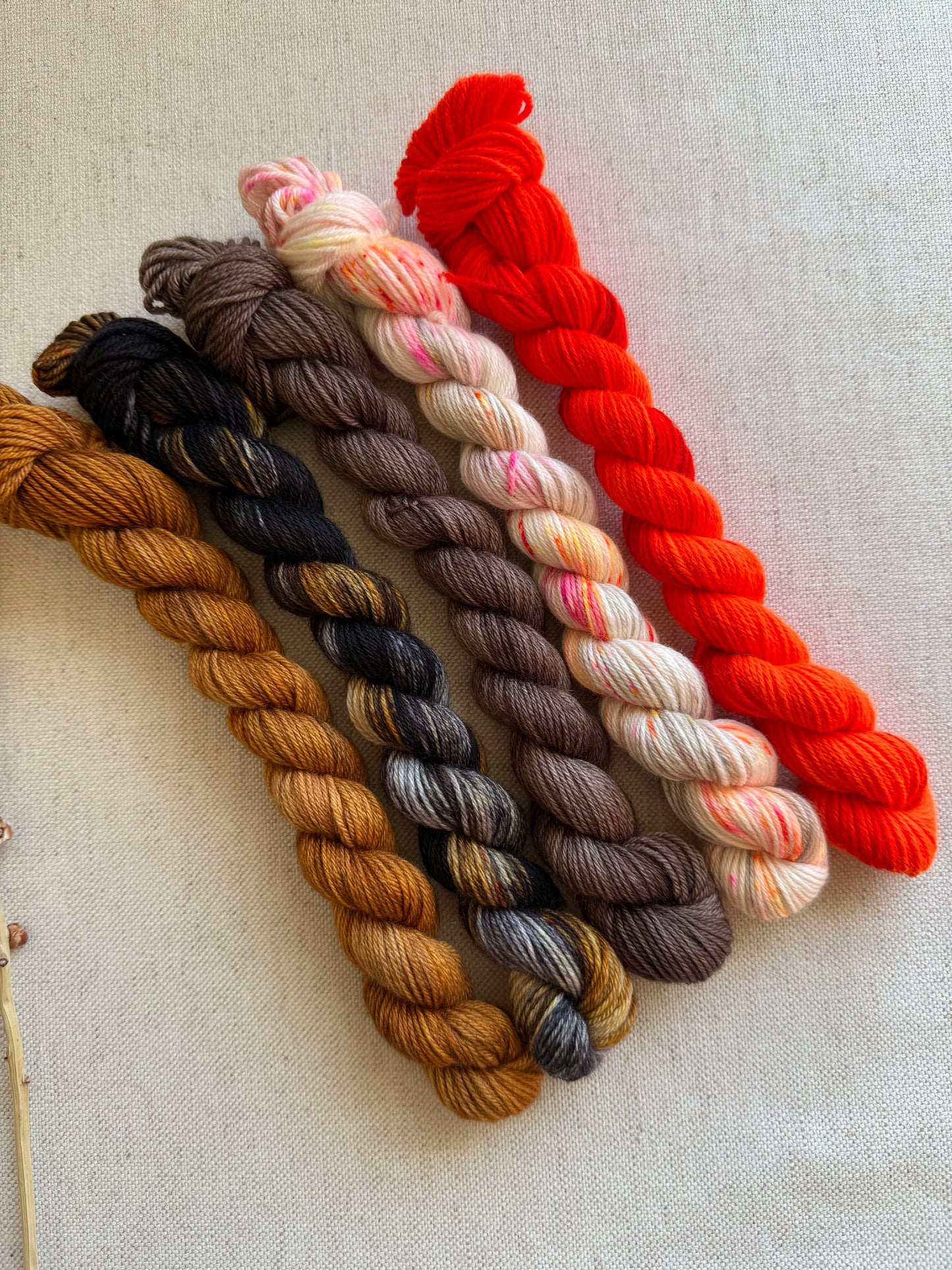 Eliot's Yota - SW Merino Nylon Mini Skein Set