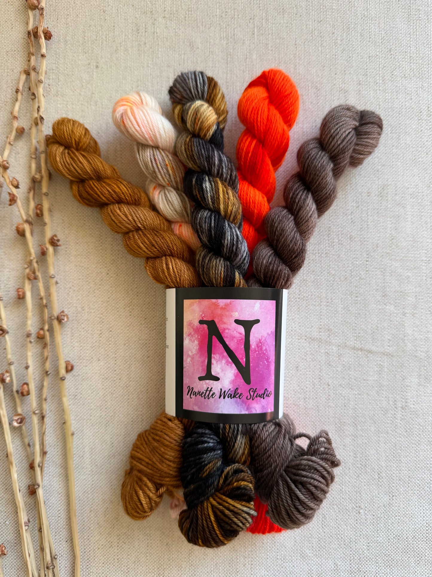 Eliot's Yota - SW Merino Nylon Mini Skein Set