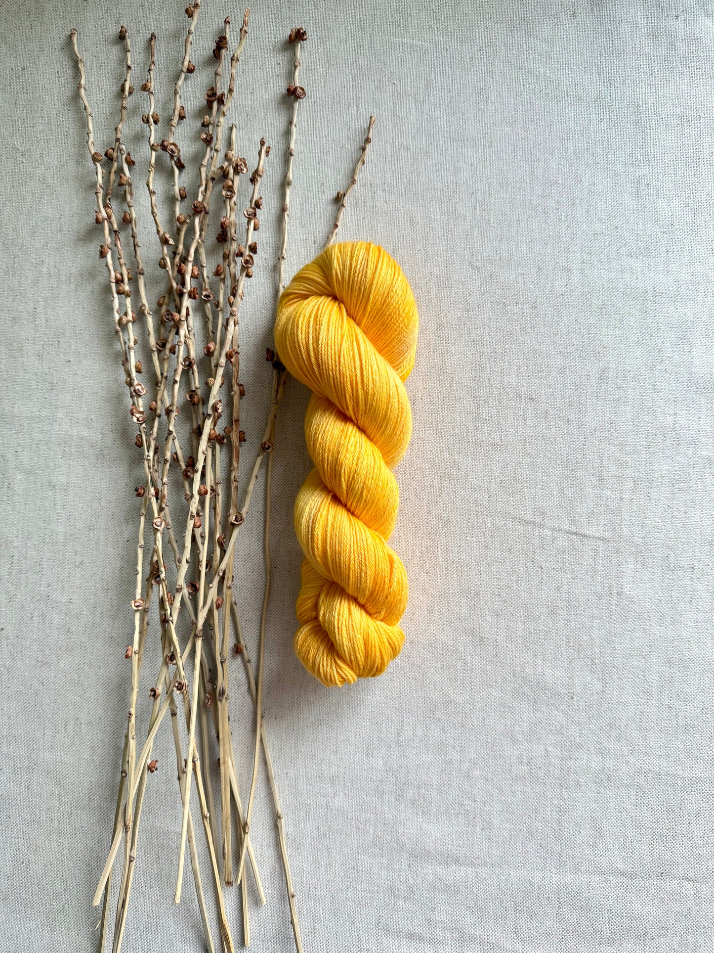 Saffron Merino