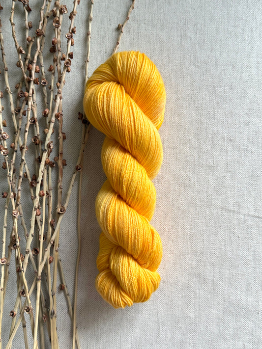 Saffron Merino