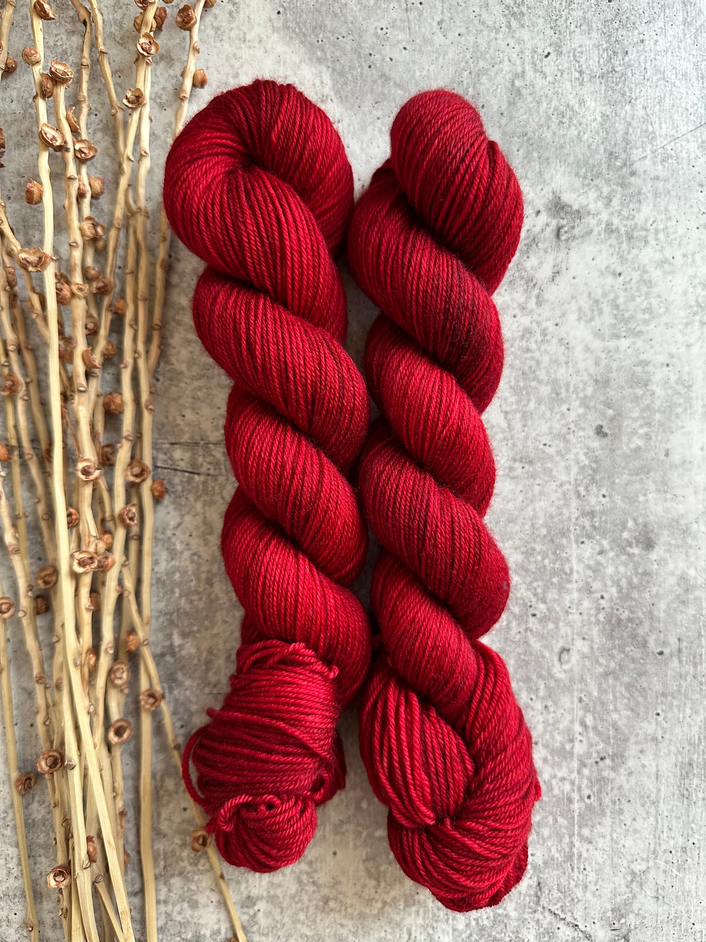 Poinsettia SW Merino Nylon 50g Skein
