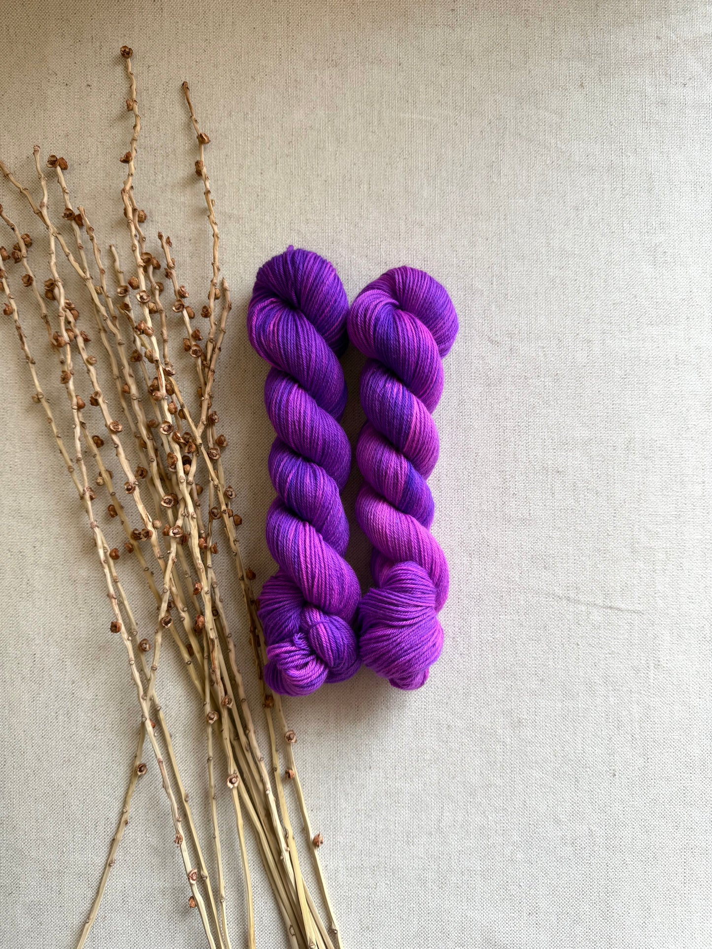 Pop! SW Merino Nylon 50g Skein