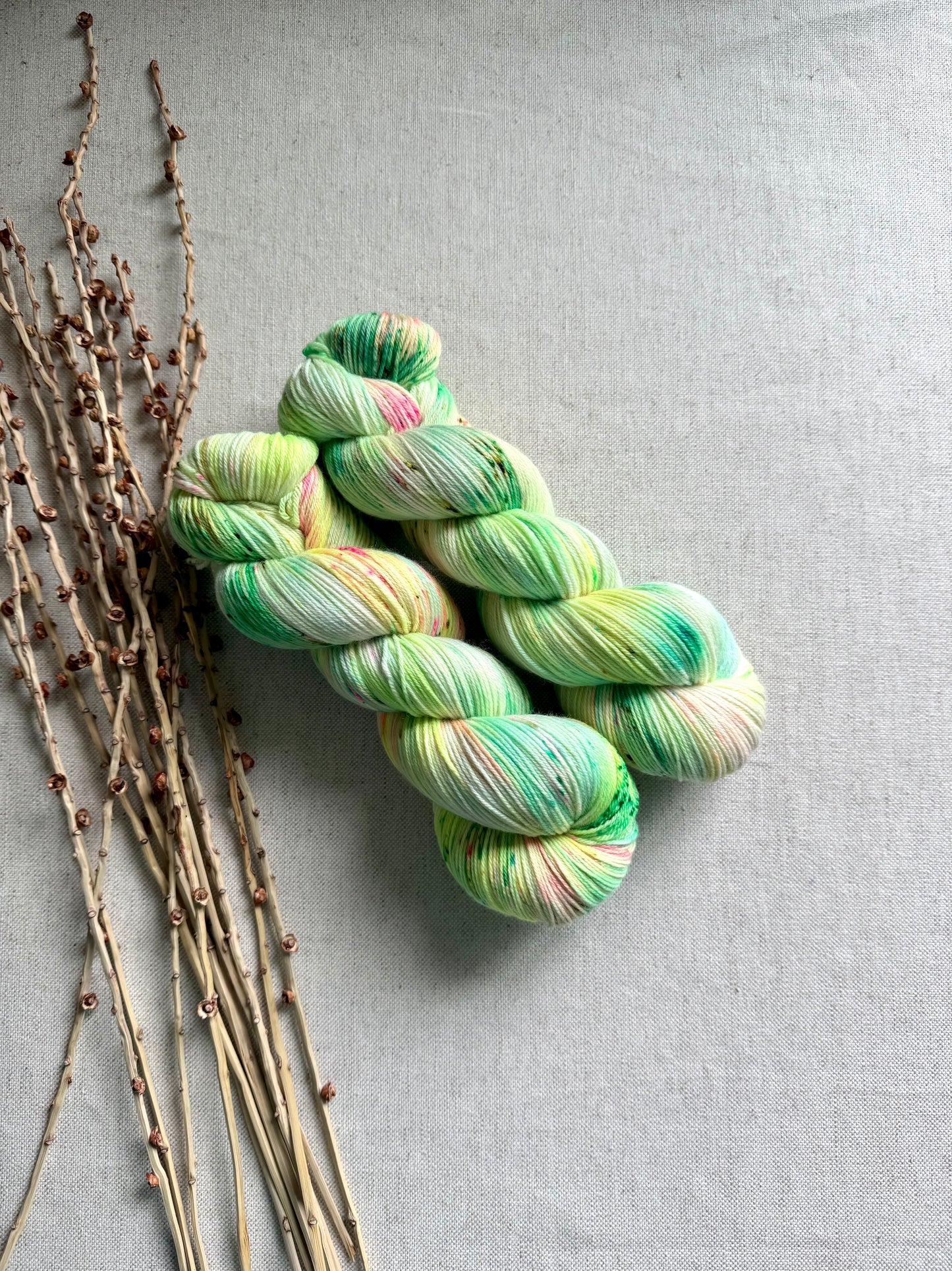 Pollywog Wiggle SW Merino Nylon Yarn