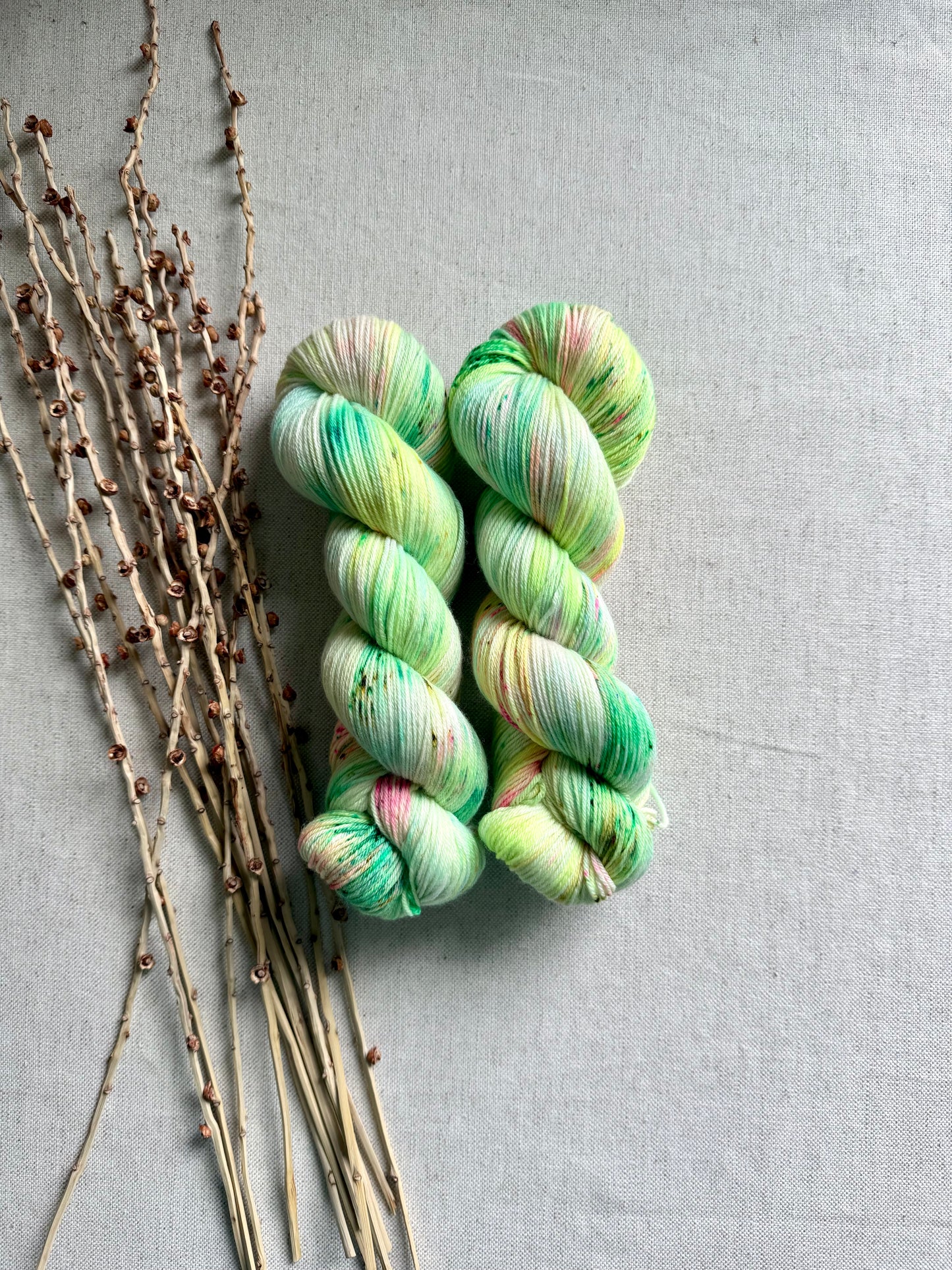 Pollywog Wiggle SW Merino Nylon Yarn