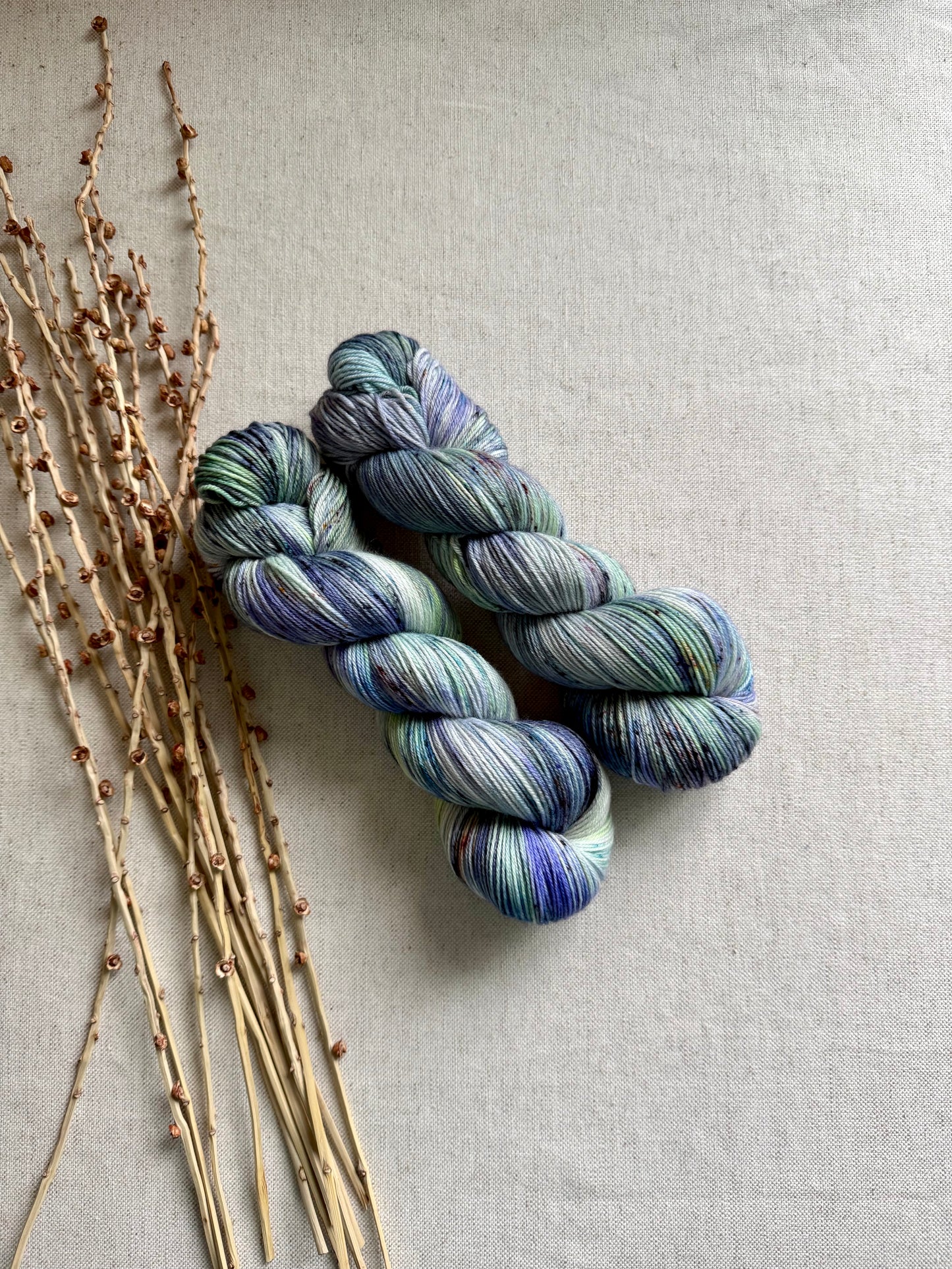 Fairies & Toadstools SW Merino Nylon Yarn