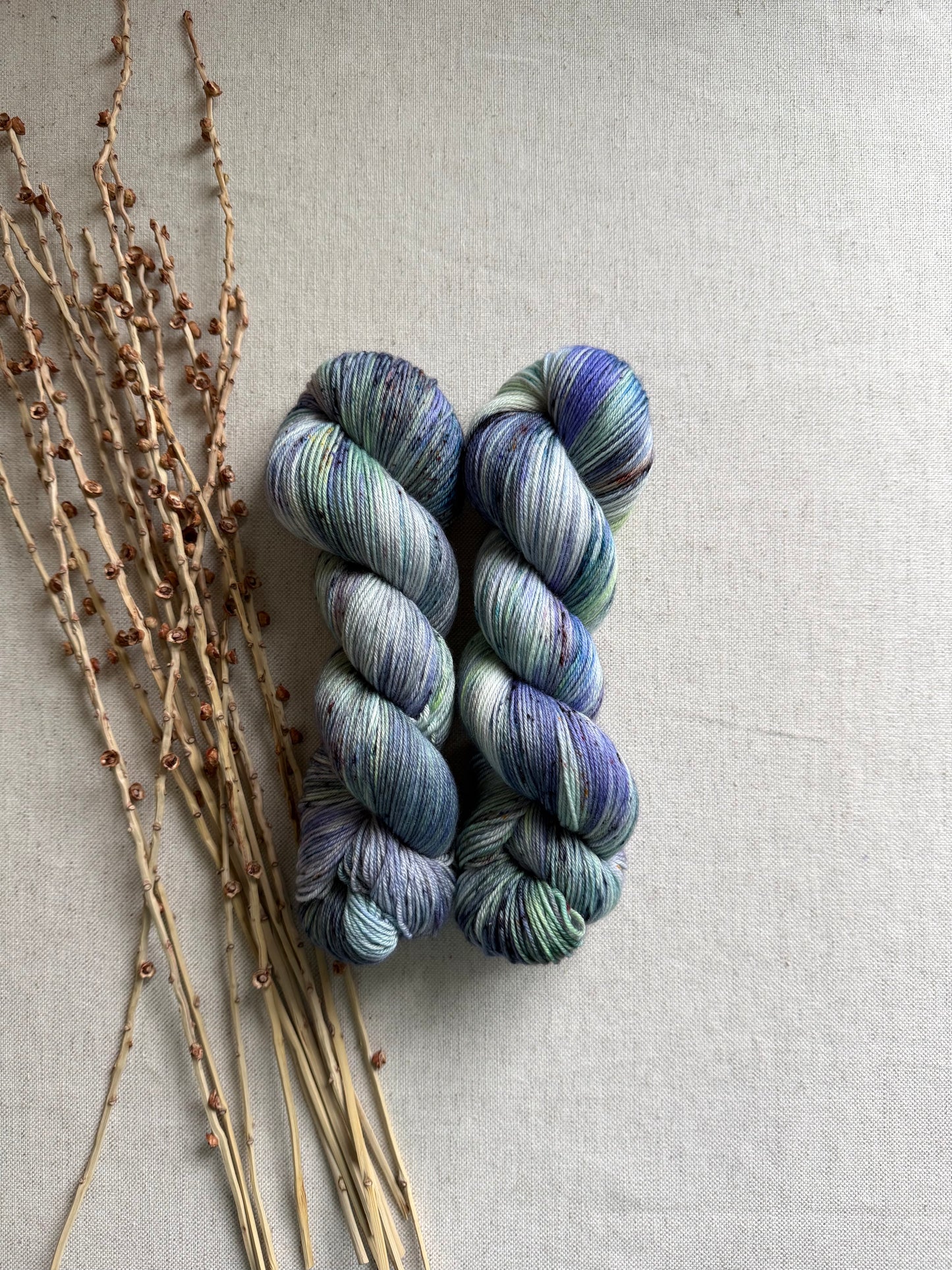 Fairies & Toadstools SW Merino Nylon Yarn