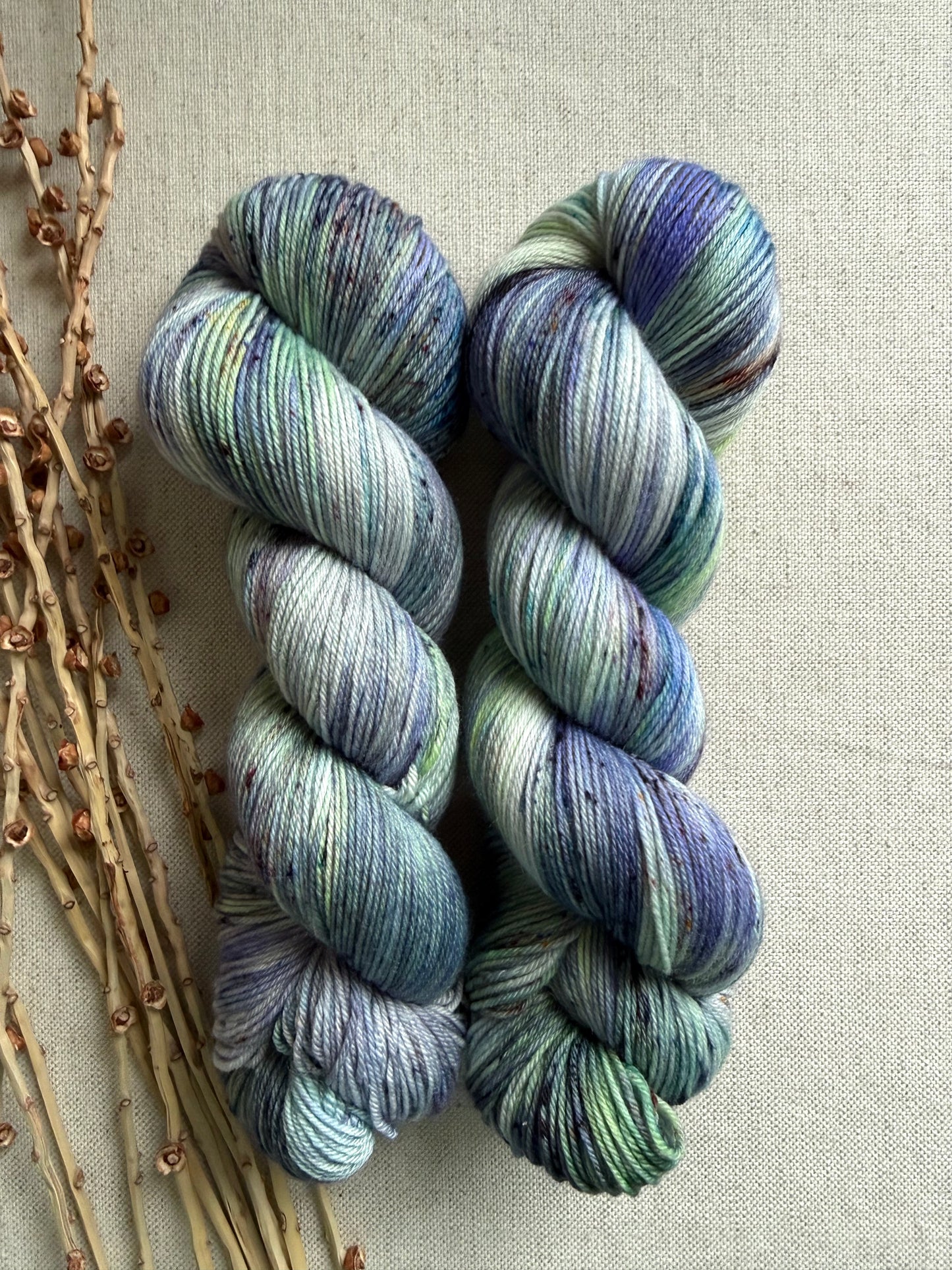 Fairies & Toadstools SW Merino Nylon Yarn