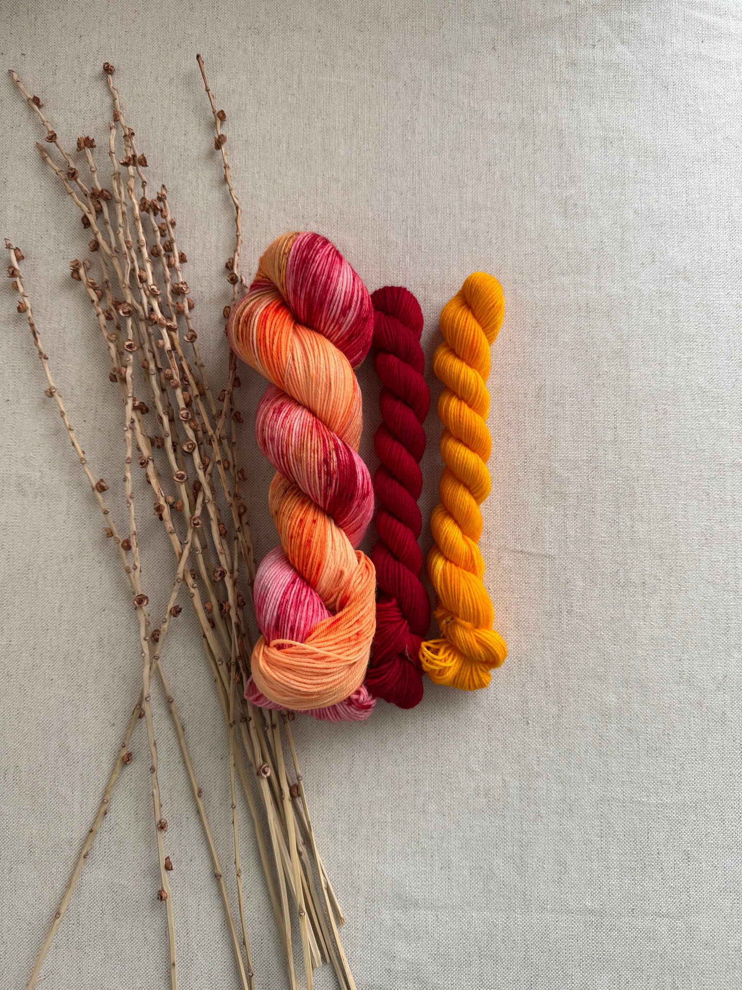 Squeeze Me? Sock Set