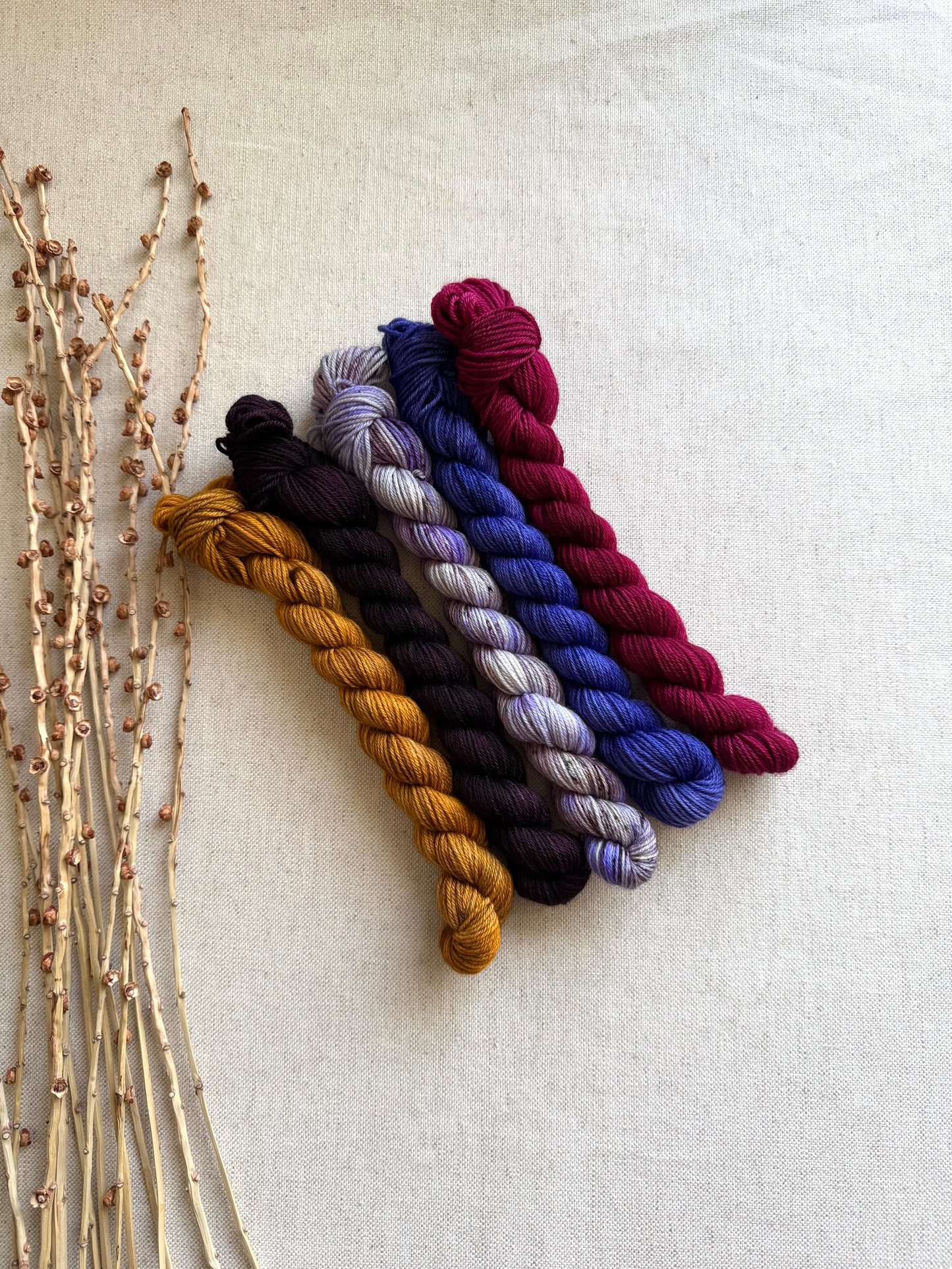 Golden Ticket - SW Merino Nylon Mini Skein Set
