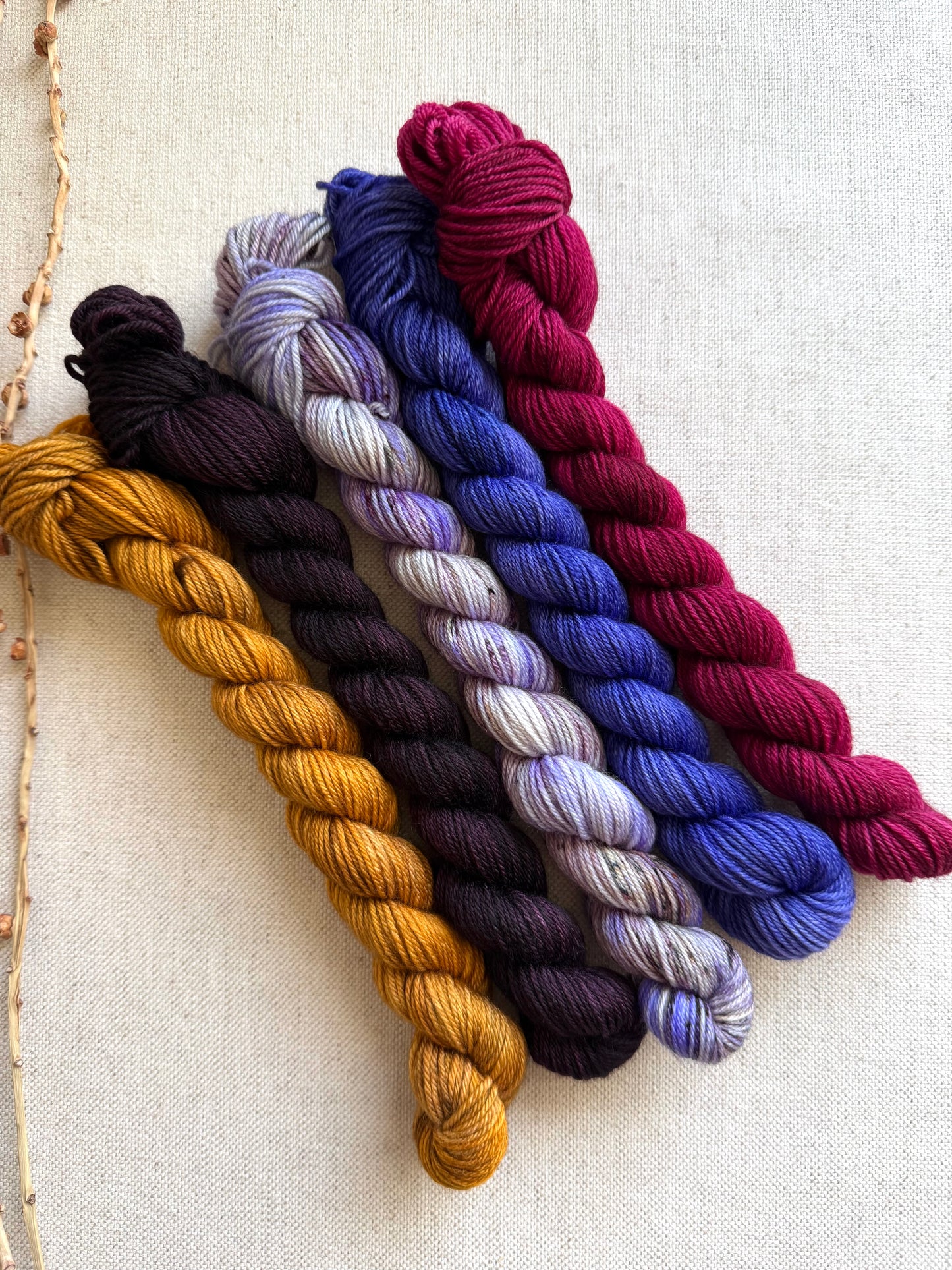 Golden Ticket - SW Merino Nylon Mini Skein Set