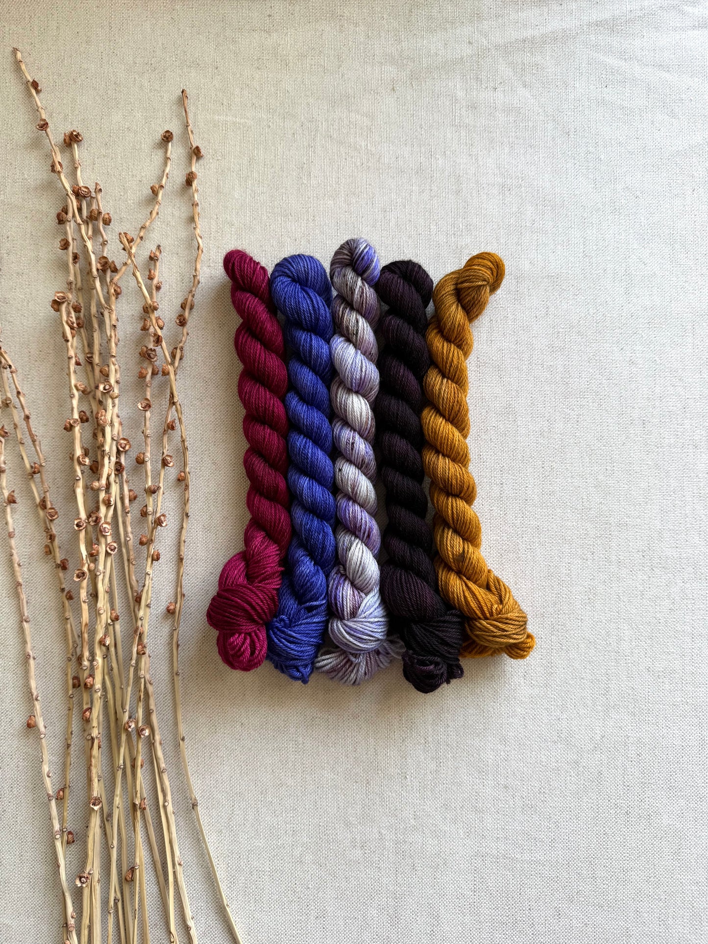 Golden Ticket - SW Merino Nylon Mini Skein Set