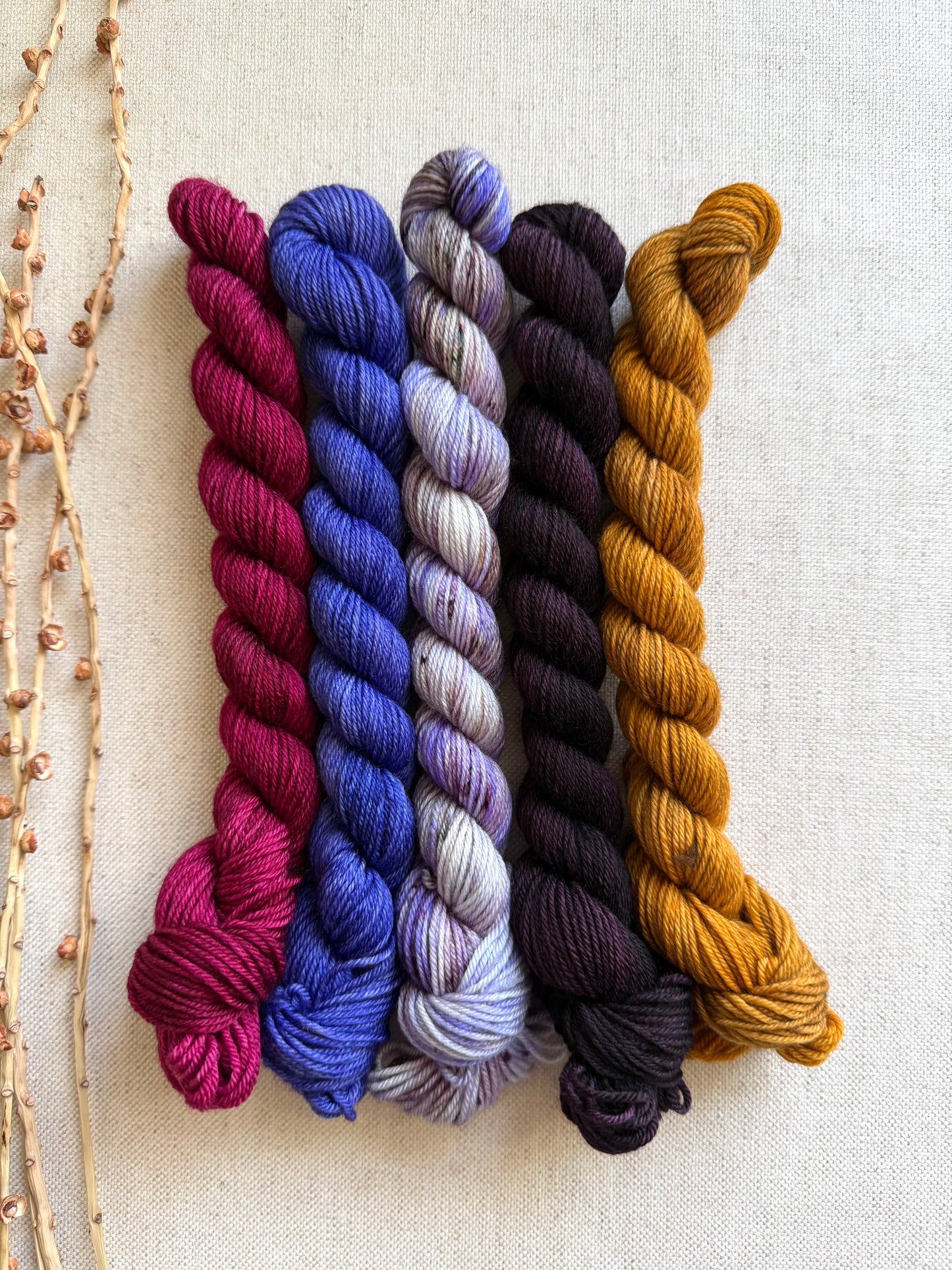 Golden Ticket - SW Merino Nylon Mini Skein Set