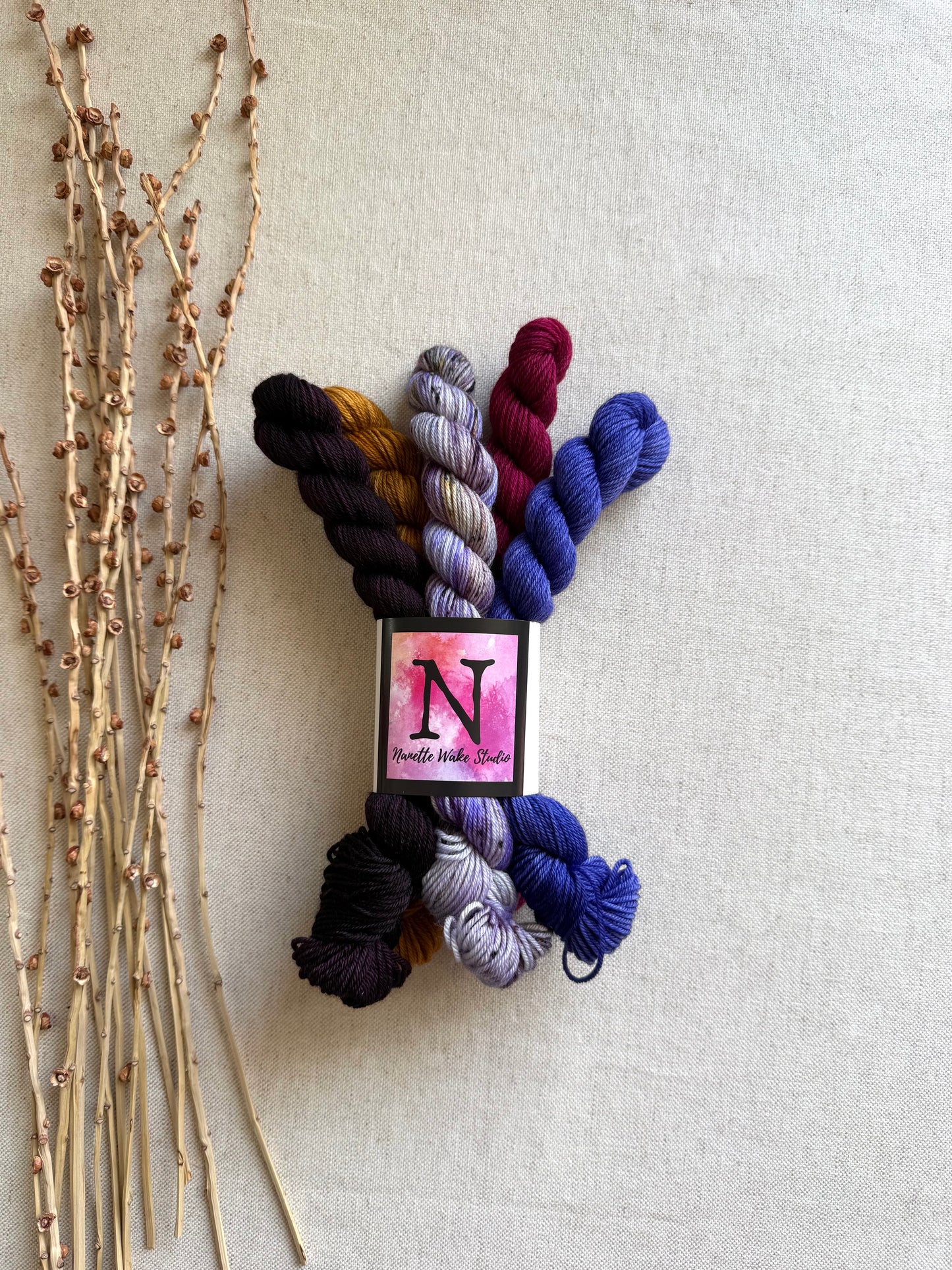Golden Ticket - SW Merino Nylon Mini Skein Set