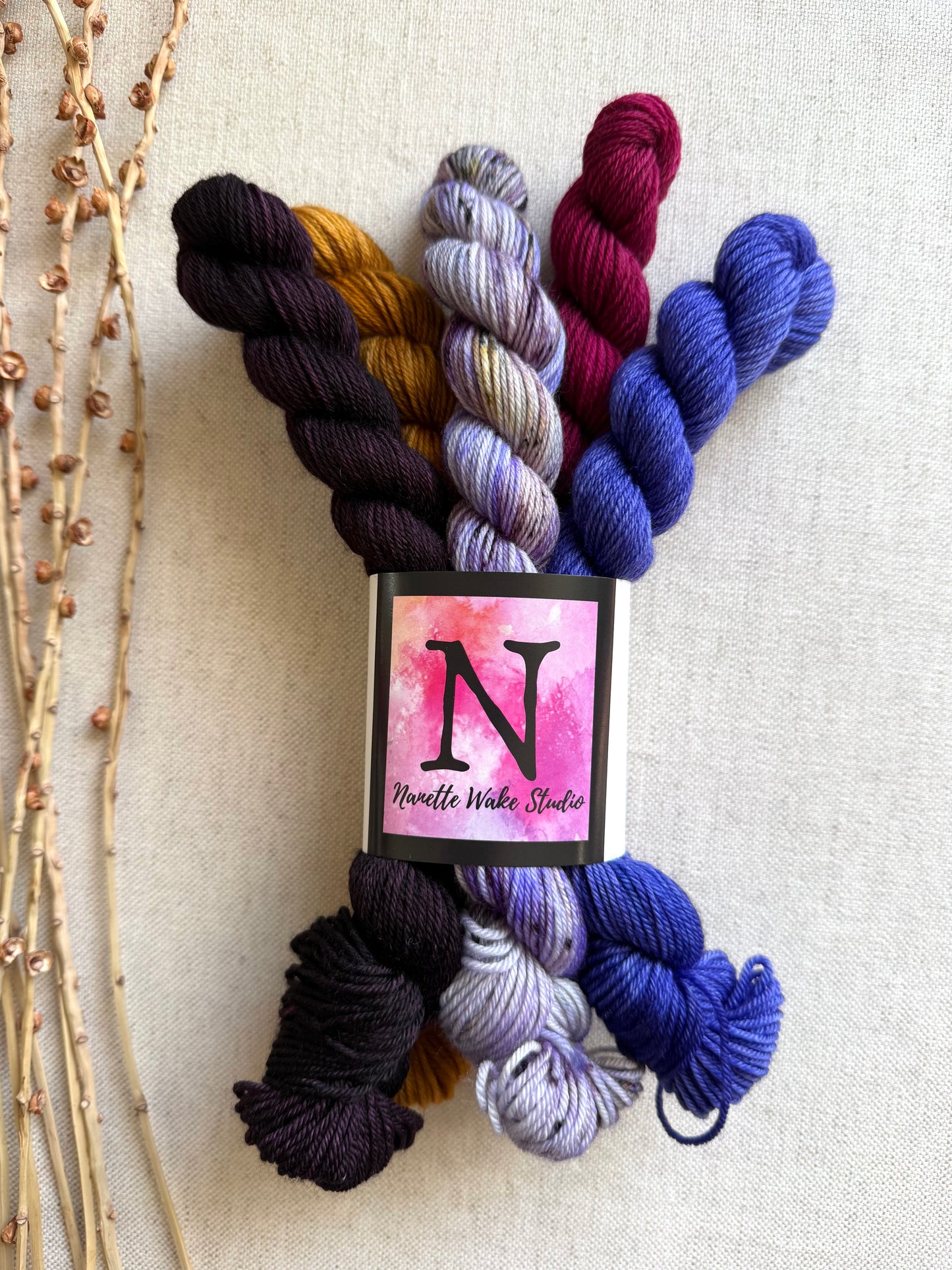 Golden Ticket - SW Merino Nylon Mini Skein Set