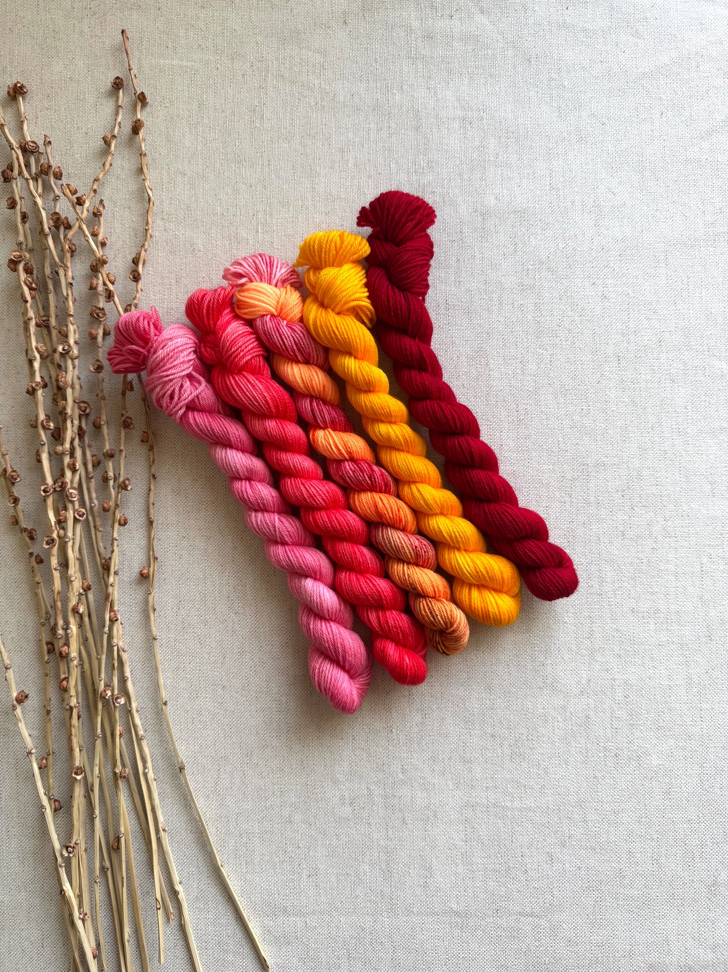 Squeeze Me? - SW Merino Nylon Mini Skein Set
