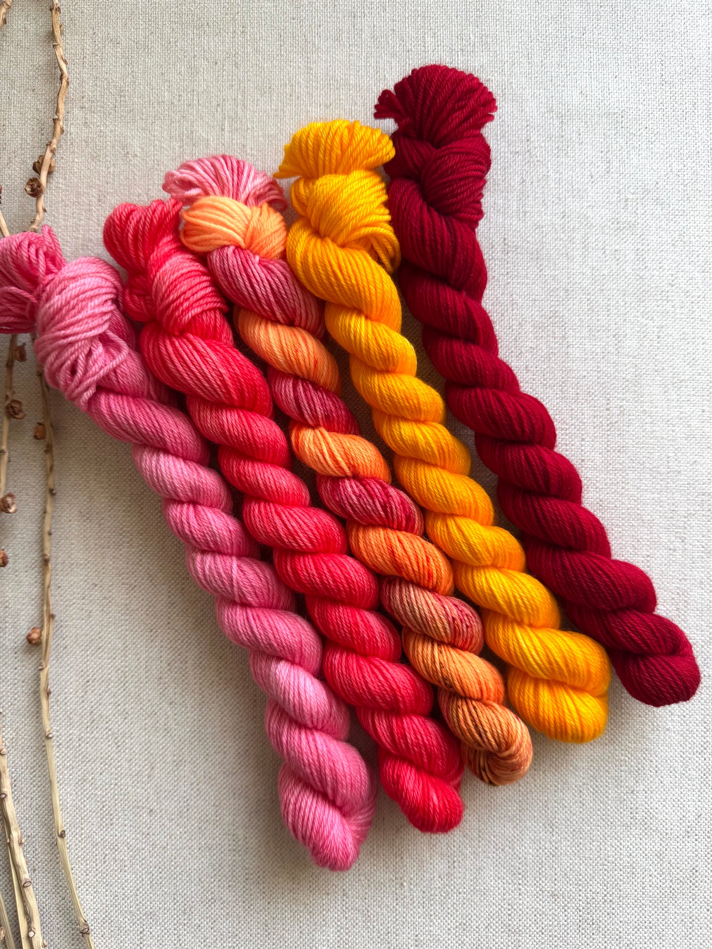 Squeeze Me? - SW Merino Nylon Mini Skein Set
