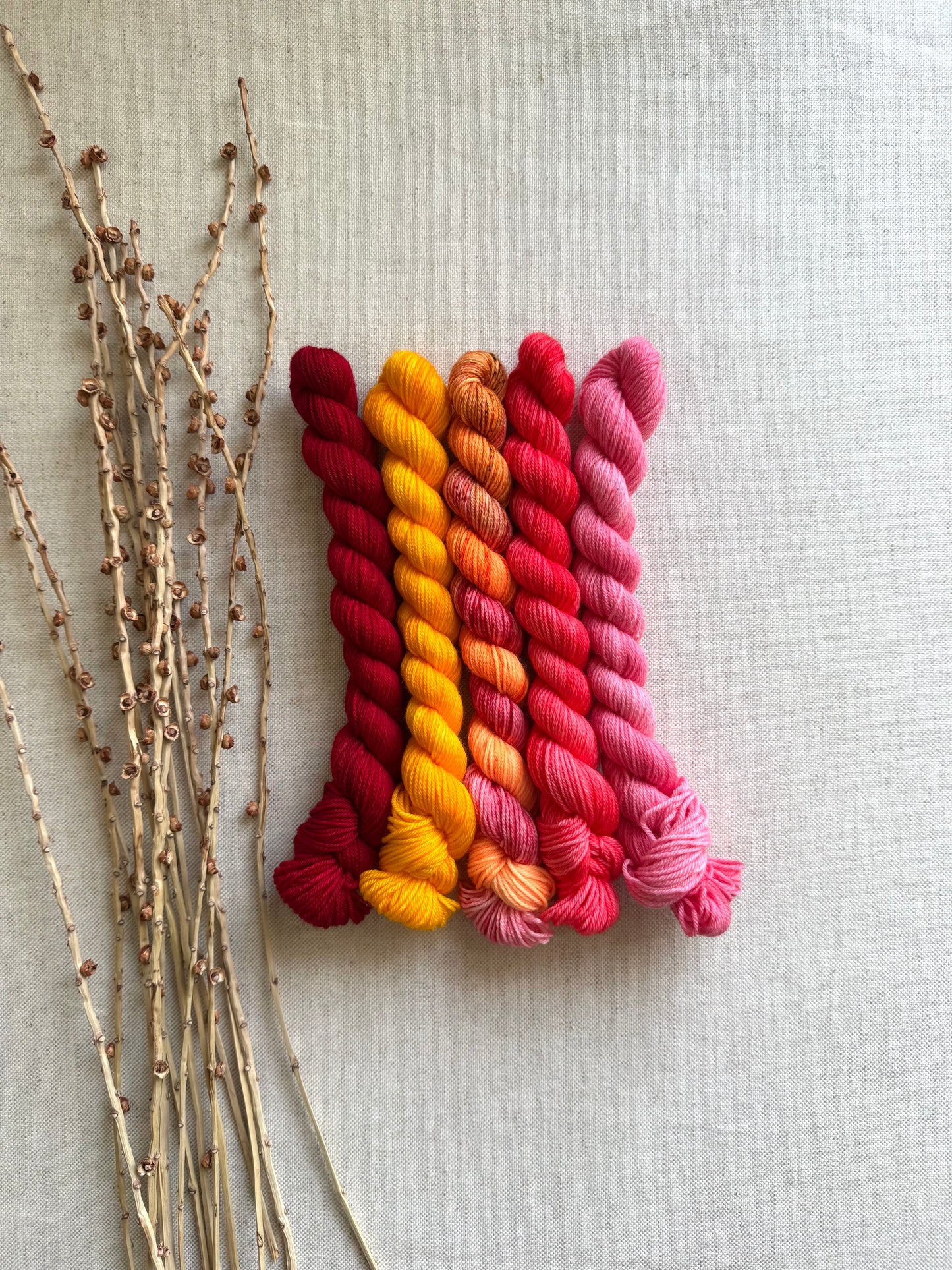 Squeeze Me? - SW Merino Nylon Mini Skein Set