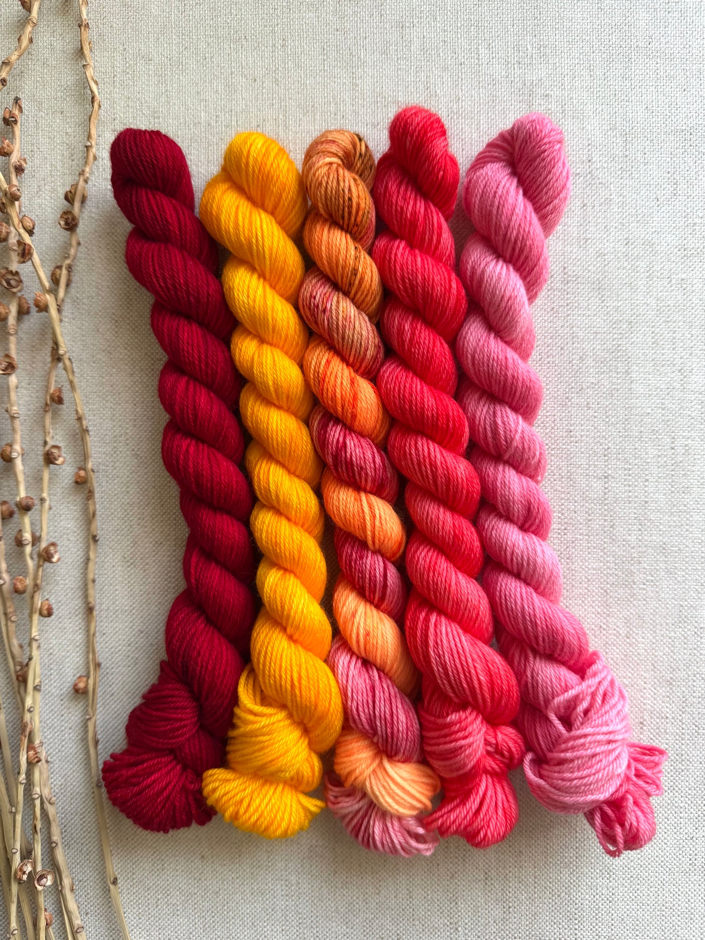 Squeeze Me? - SW Merino Nylon Mini Skein Set