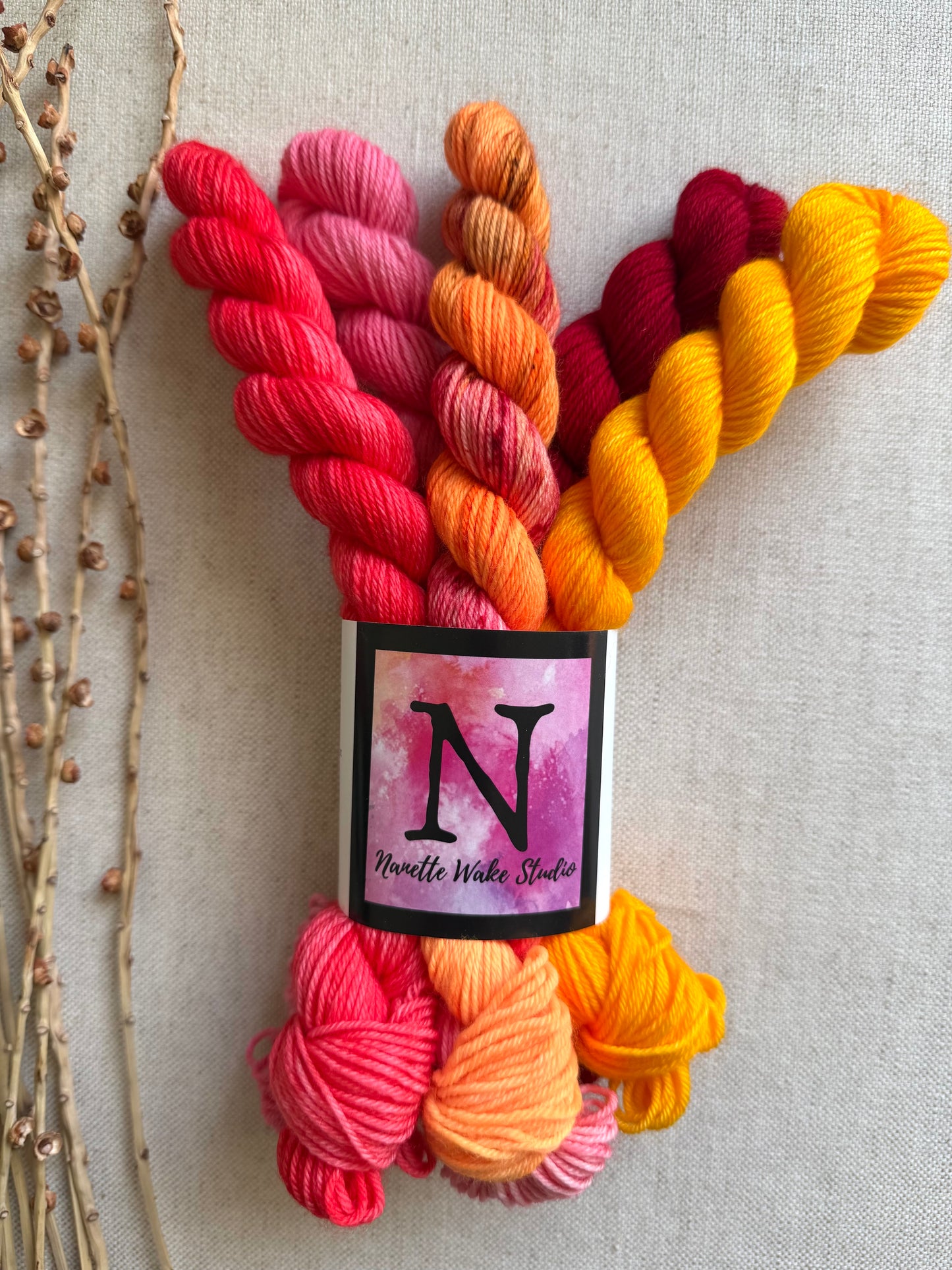 Squeeze Me? - SW Merino Nylon Mini Skein Set