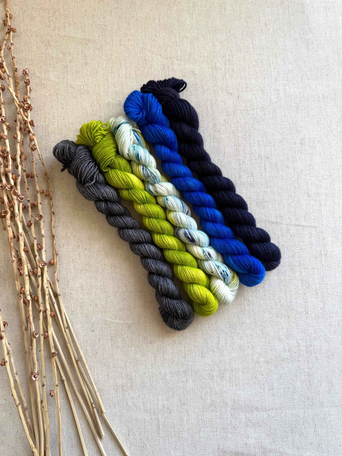 We Are The Champions of the World! - SW Merino Nylon Mini Skein Set (Copy)