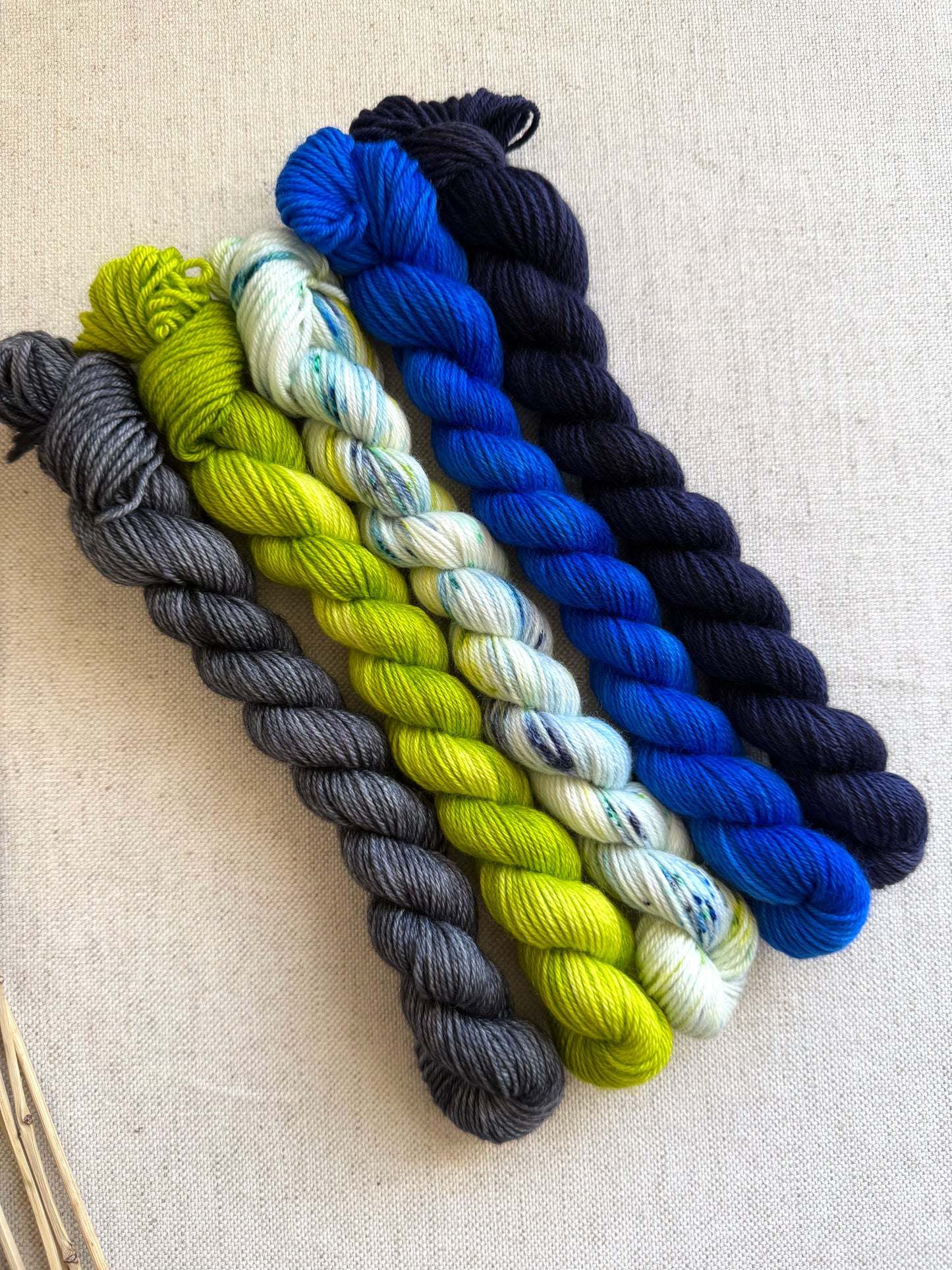 We Are The Champions of the World! - SW Merino Nylon Mini Skein Set (Copy)