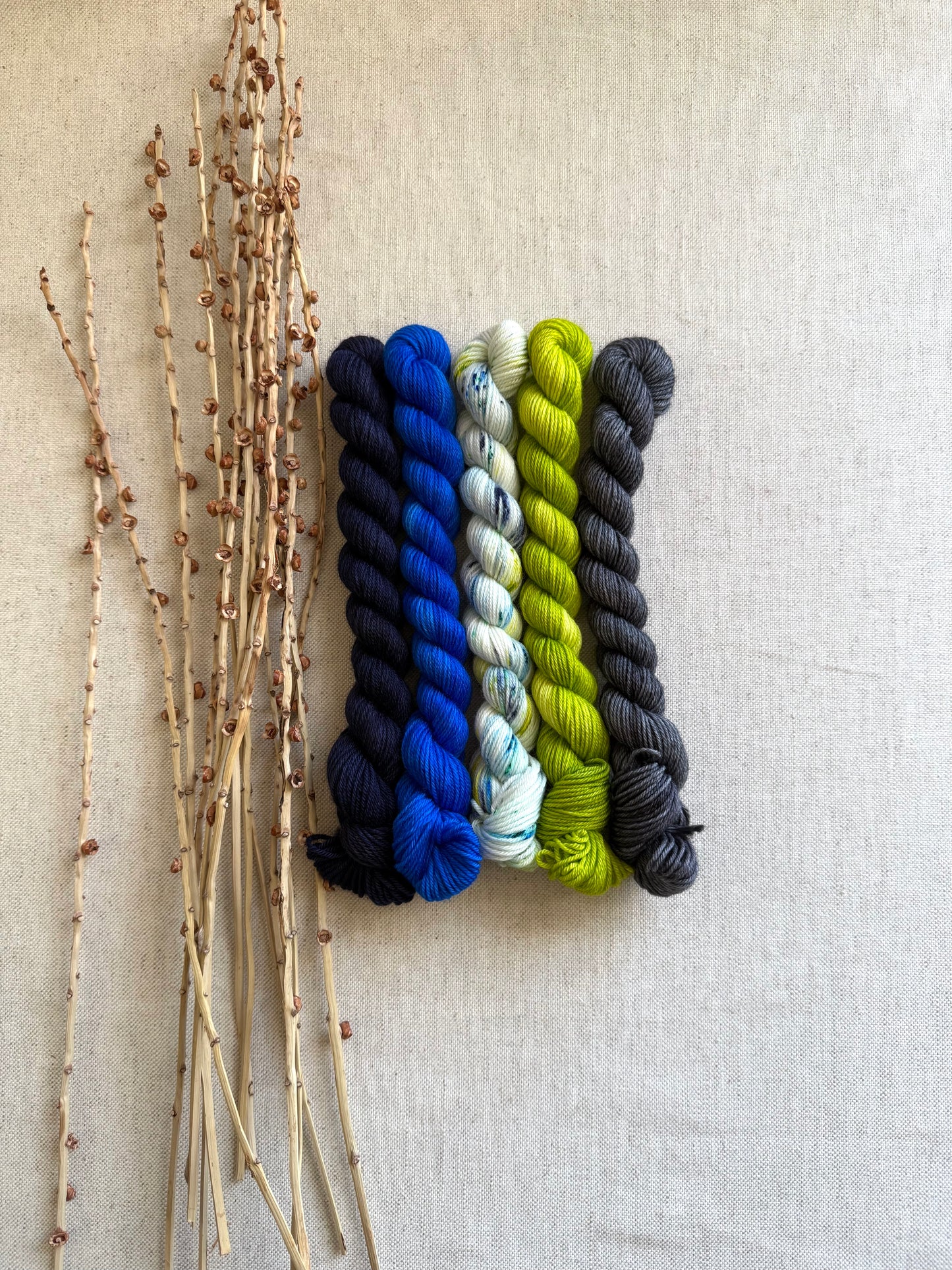 We Are The Champions of the World! - SW Merino Nylon Mini Skein Set (Copy)