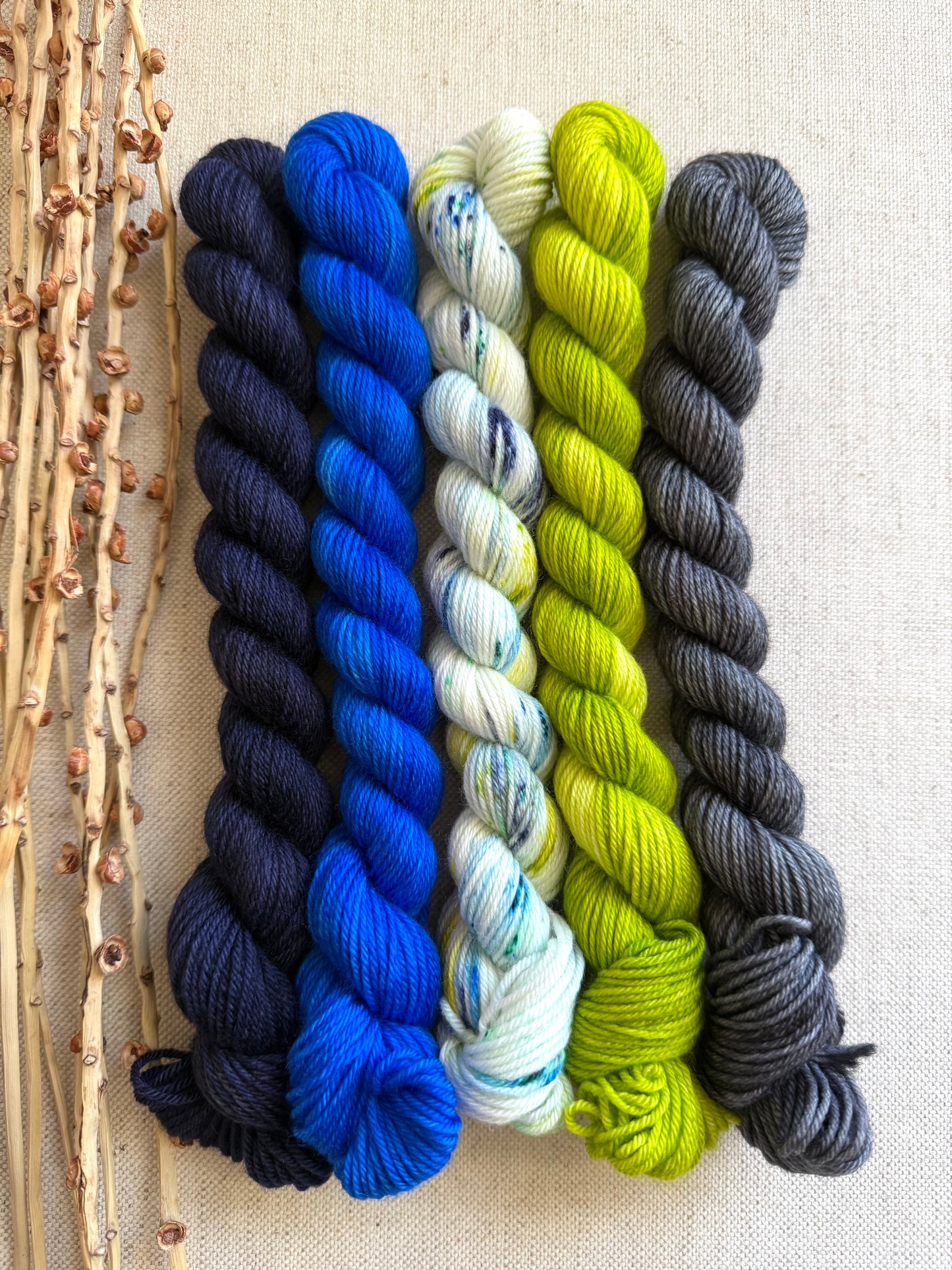 We Are The Champions of the World! - SW Merino Nylon Mini Skein Set (Copy)