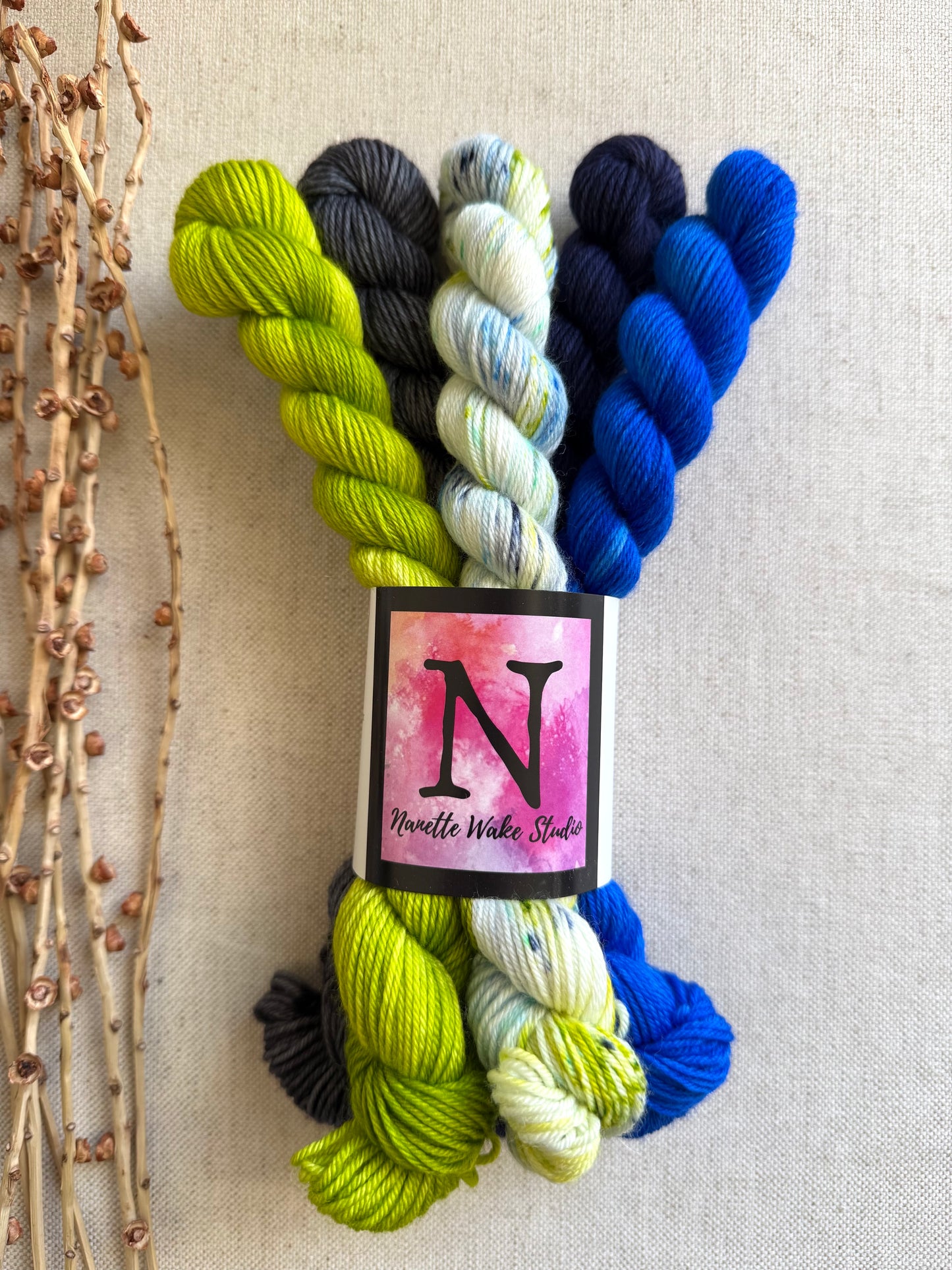 We Are The Champions of the World! - SW Merino Nylon Mini Skein Set (Copy)