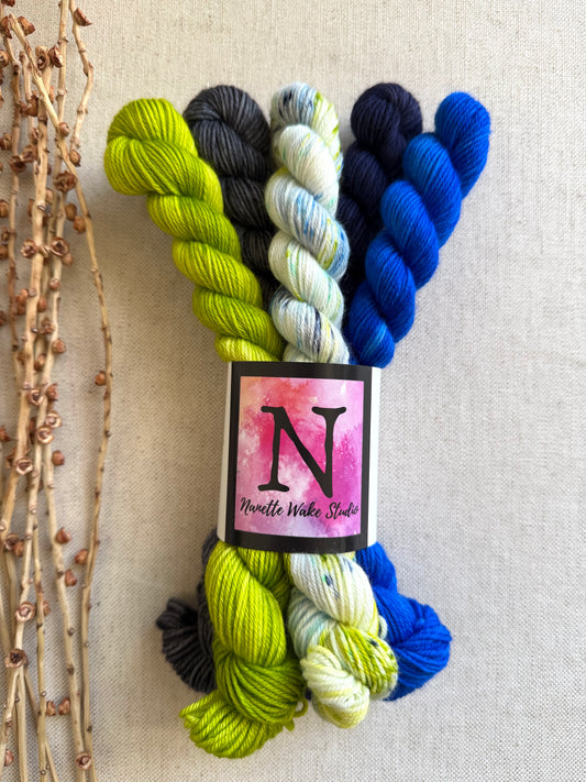 We Are The Champions of the World! - SW Merino Nylon Mini Skein Set (Copy)