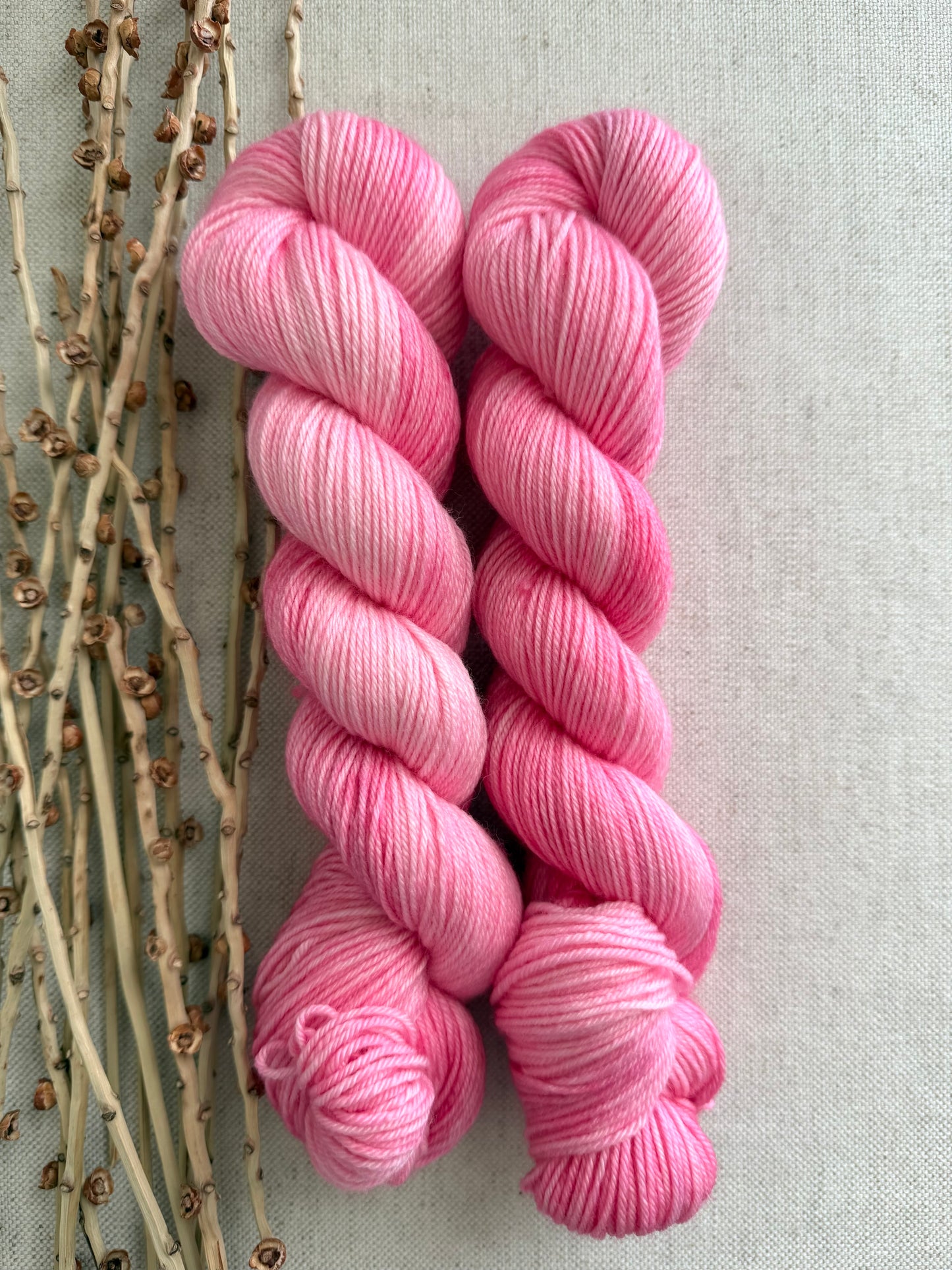 Ballerina 50g SW Merino Nylon Yarn