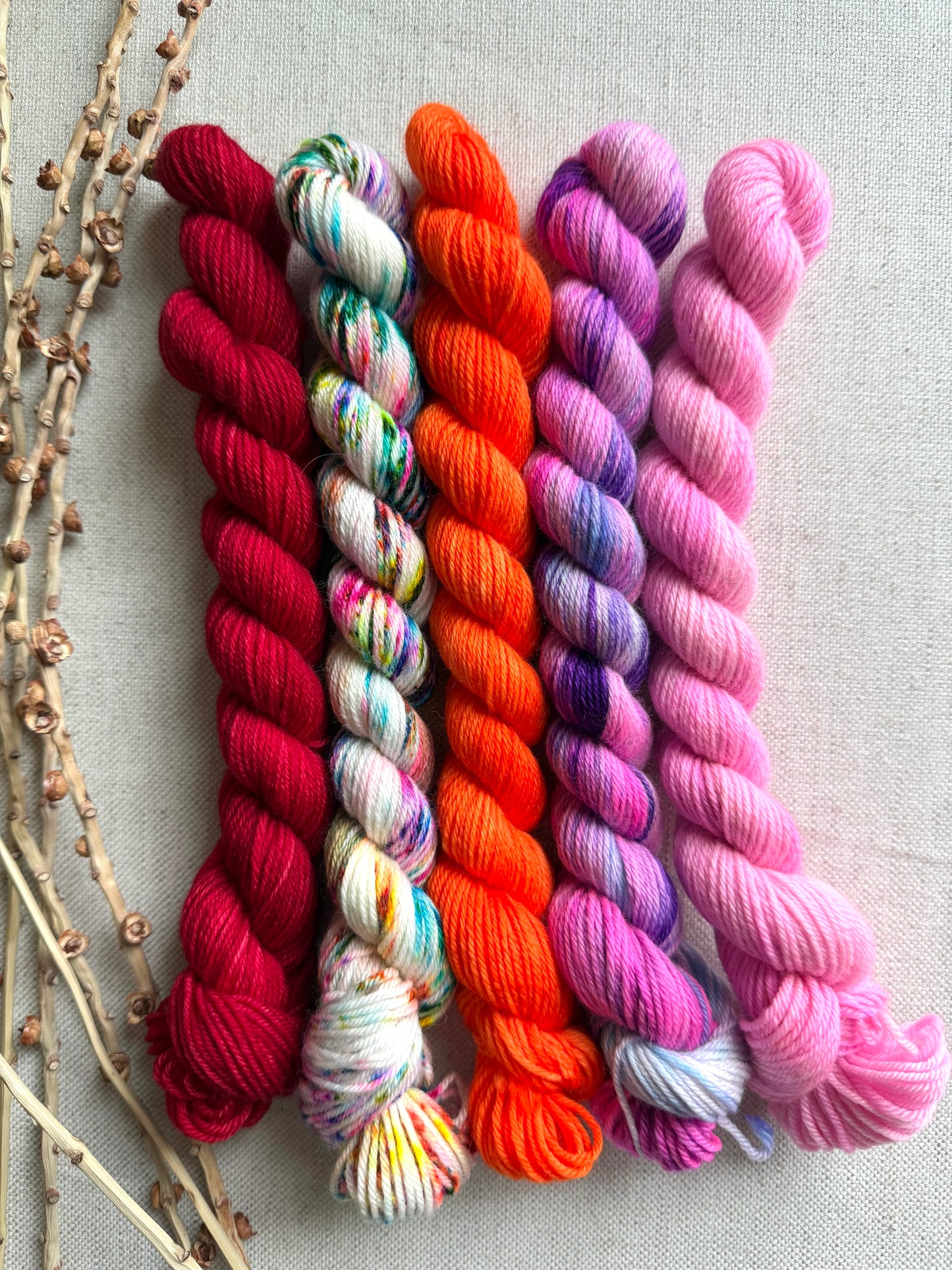 Happy Go Lucky - SW Merino Nylon Mini Skein Set